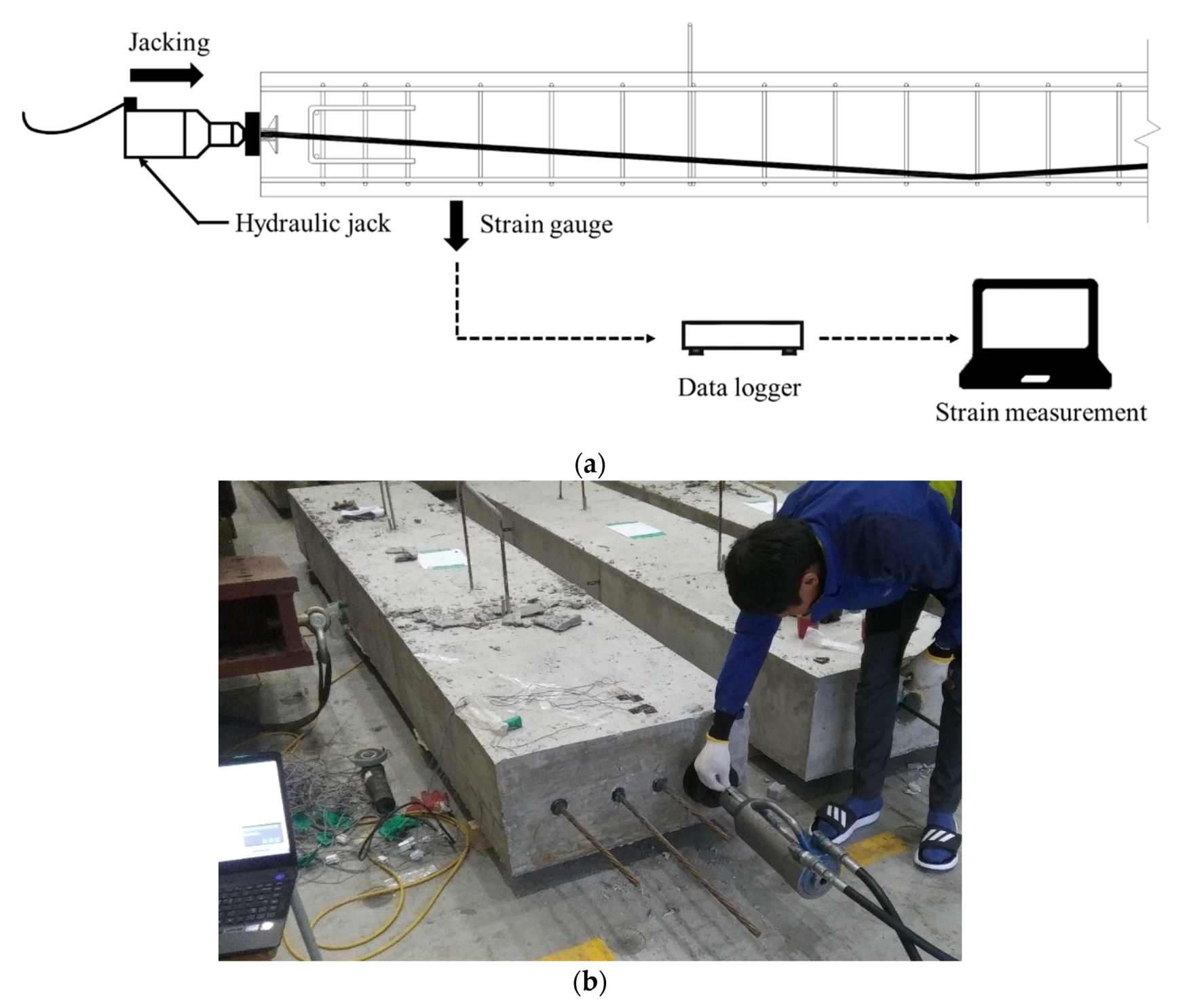 Applsci 10 03039 g005