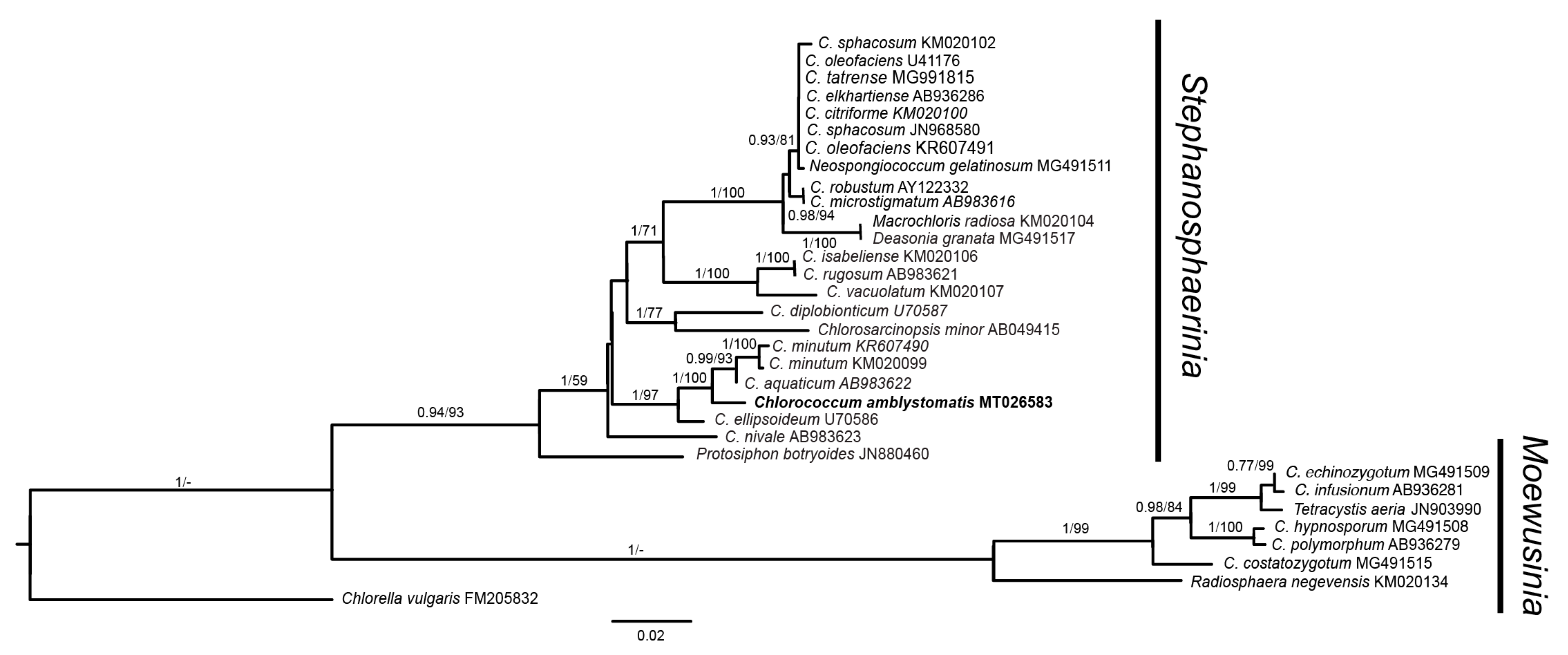 Applsci 10 03040 g003 Applsci 10 03040 g003