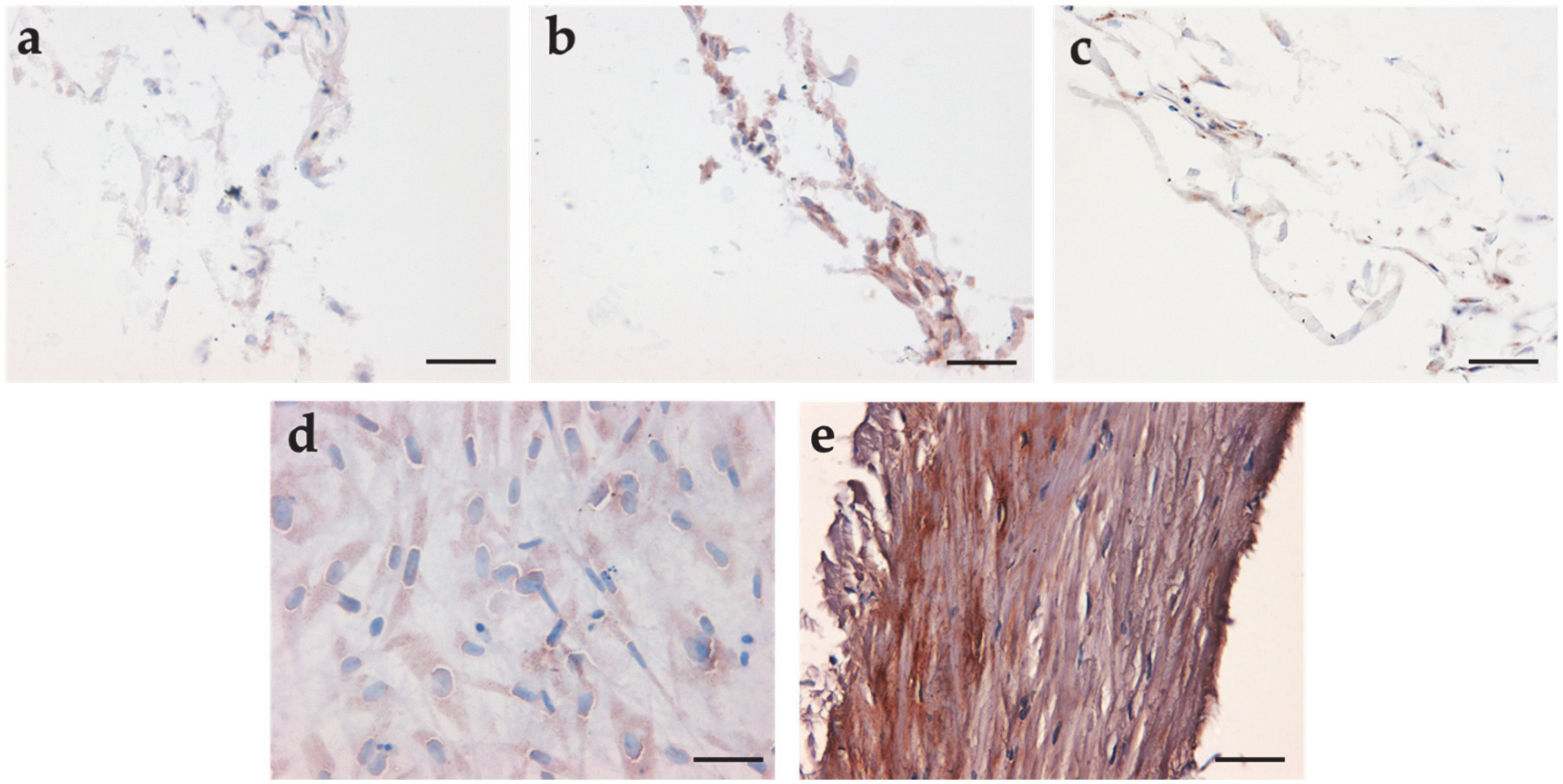 Applsci 10 03043 g005