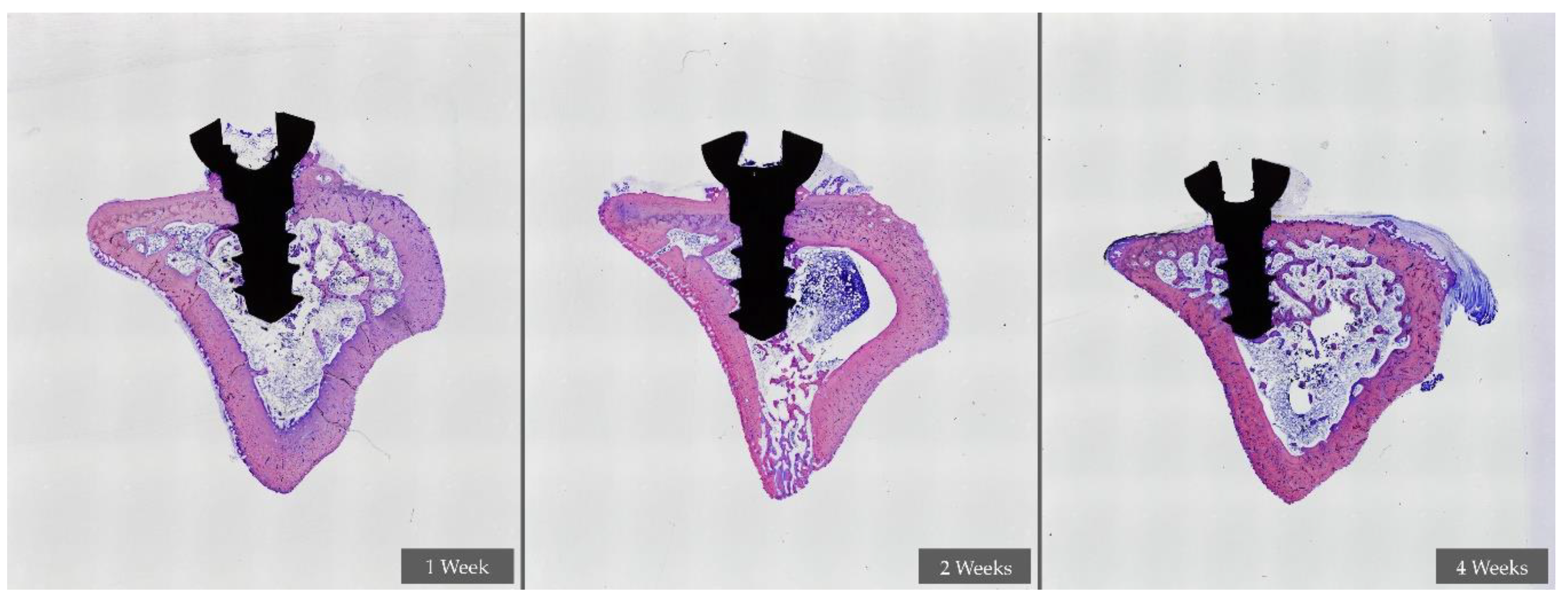Applsci 10 03069 g004