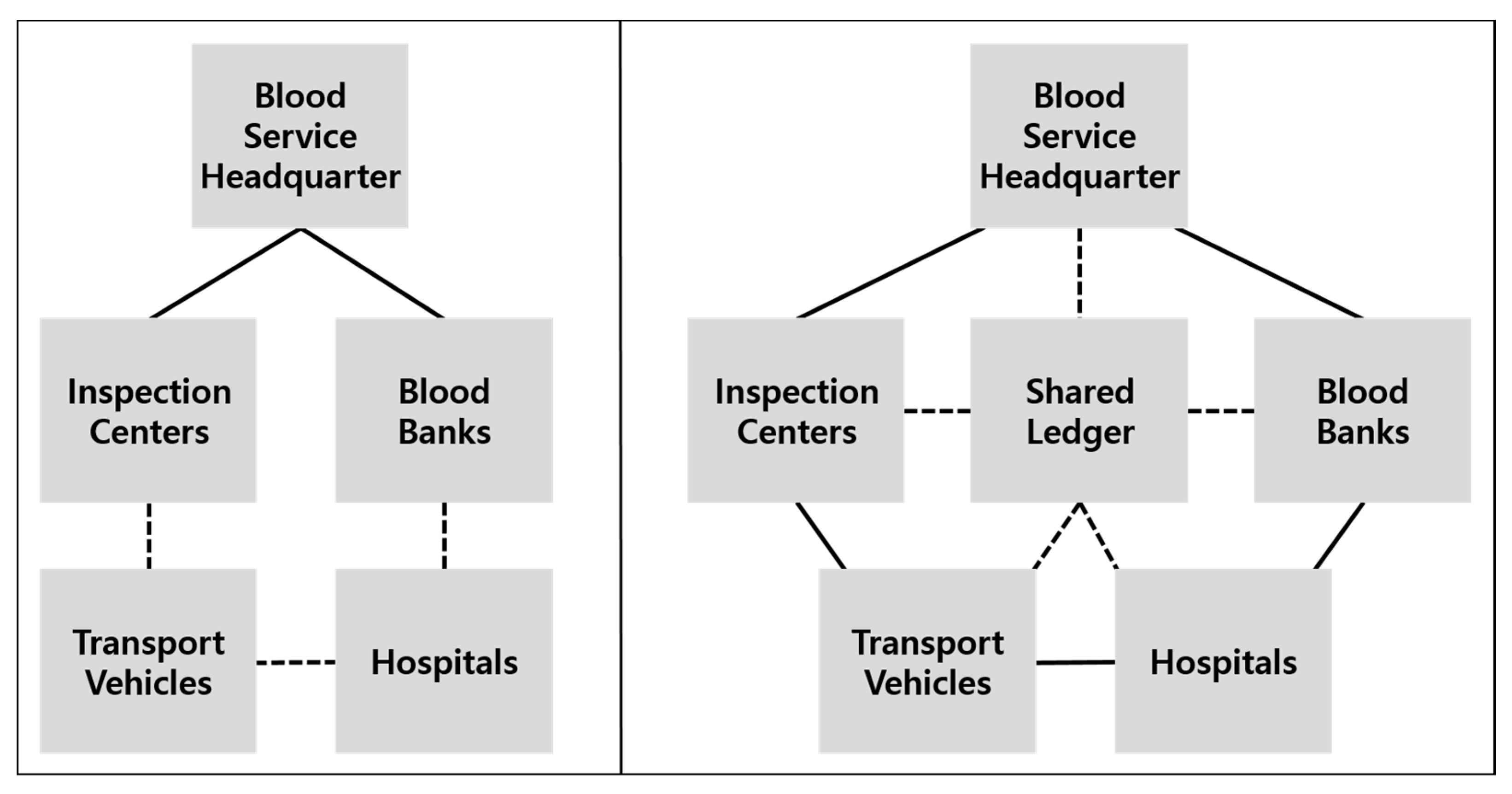 doctors use blood vessel mapping blockchain pre bitcoin