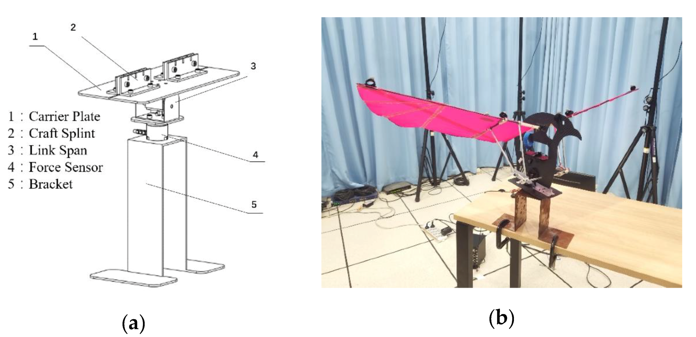Applsci 10 03404 g006 Applsci 10 03404 g006