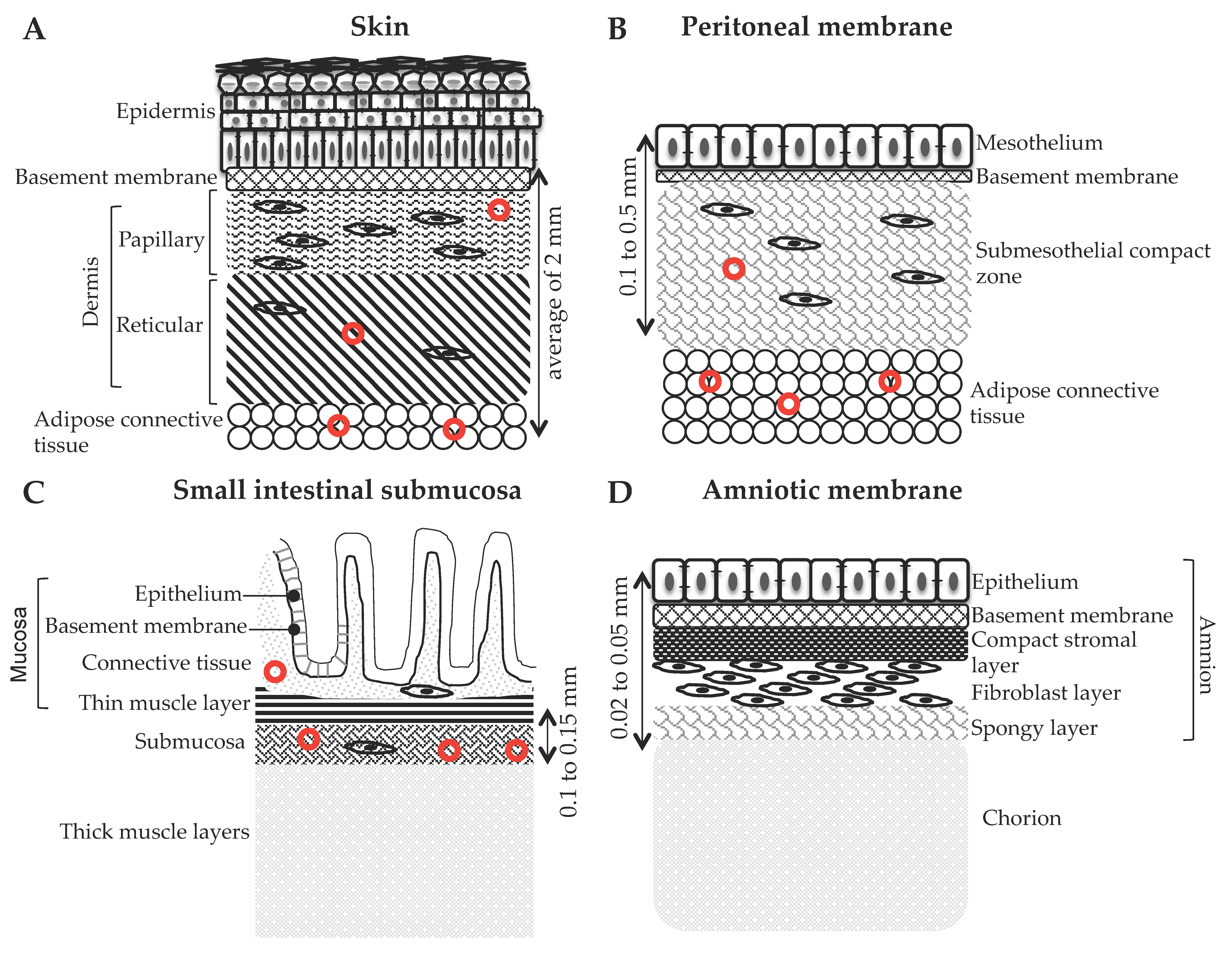 Applsci 10 03435 g002