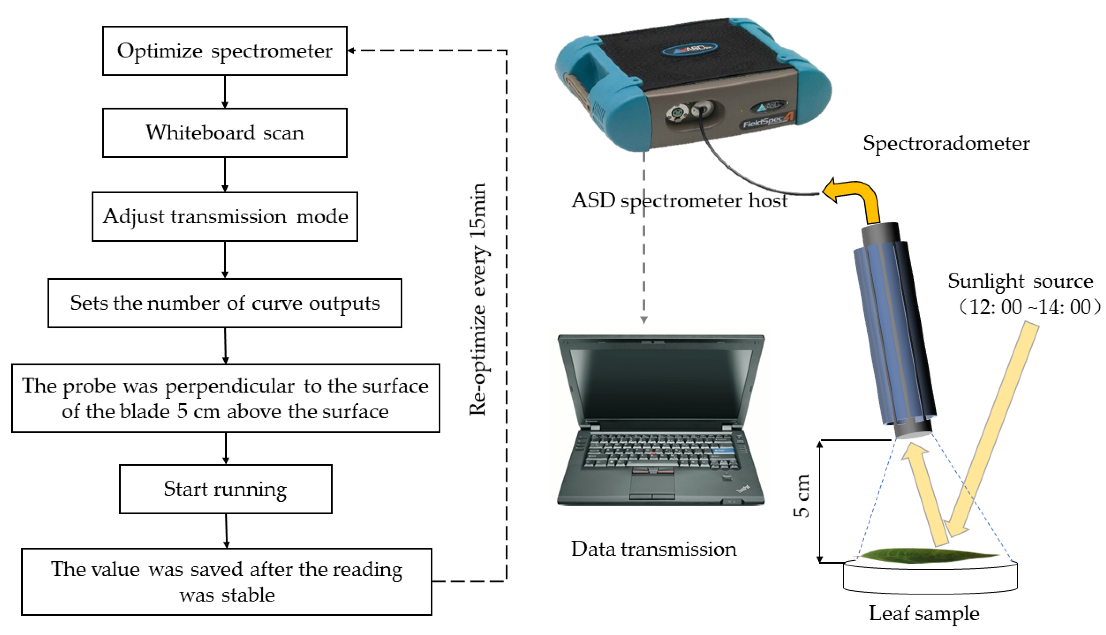Applsci 10 03636 g001 Applsci 10 03636 g001