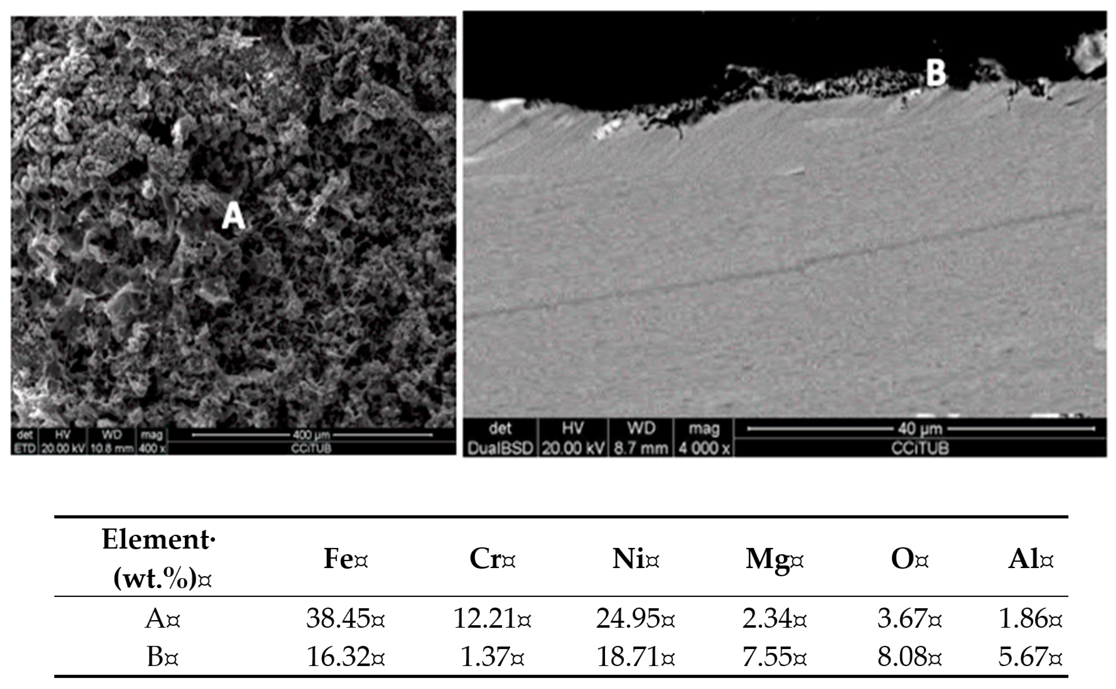 Applsci 10 03724 g003