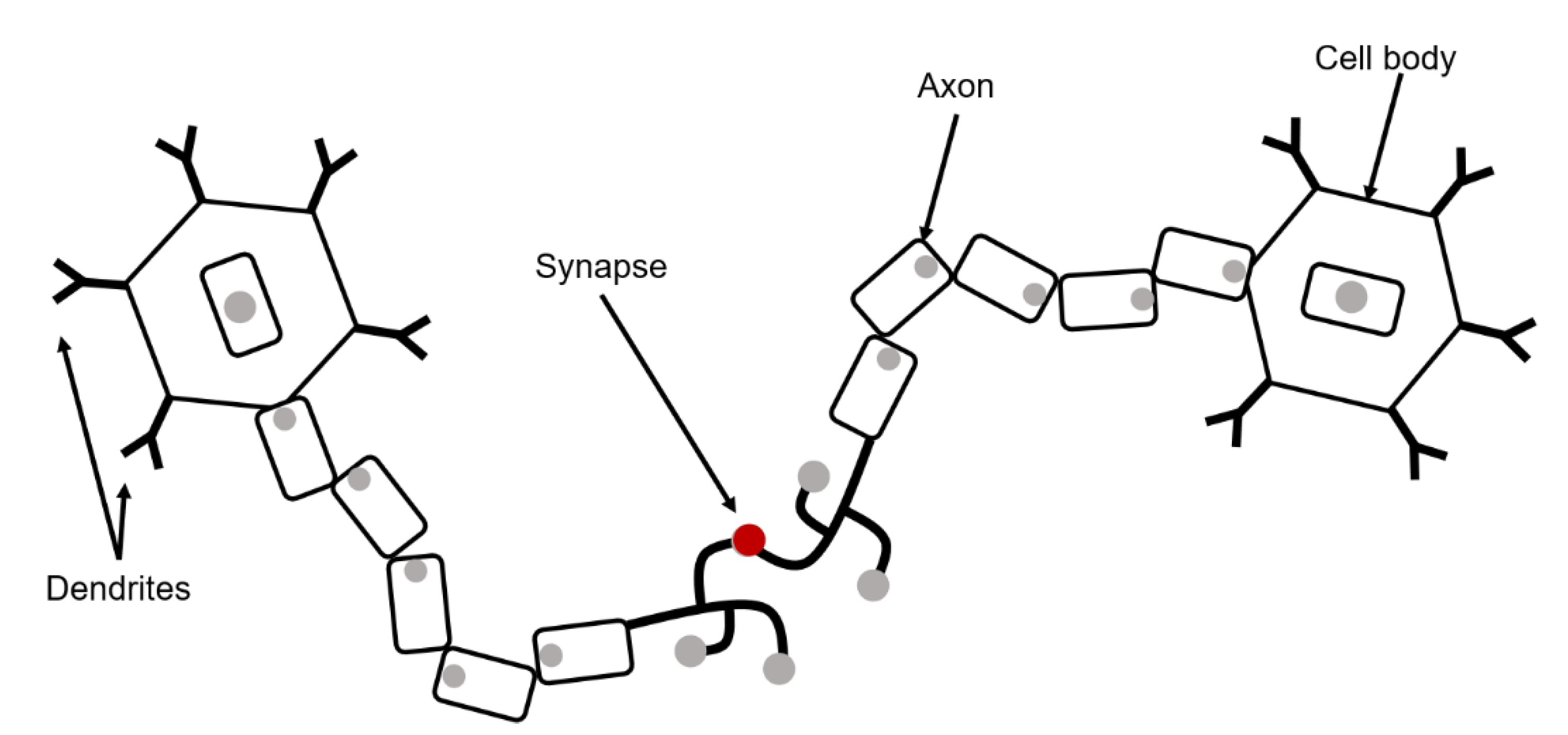 Applsci 10 03835 g002 Applsci 10 03835 g002