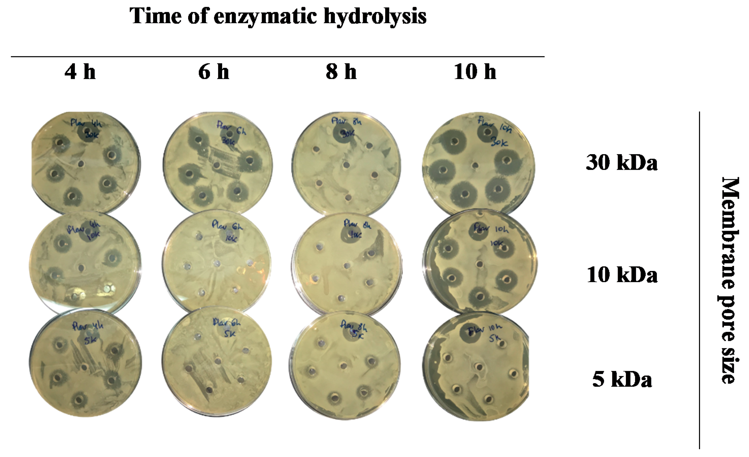 Applsci 10 03950 g003
