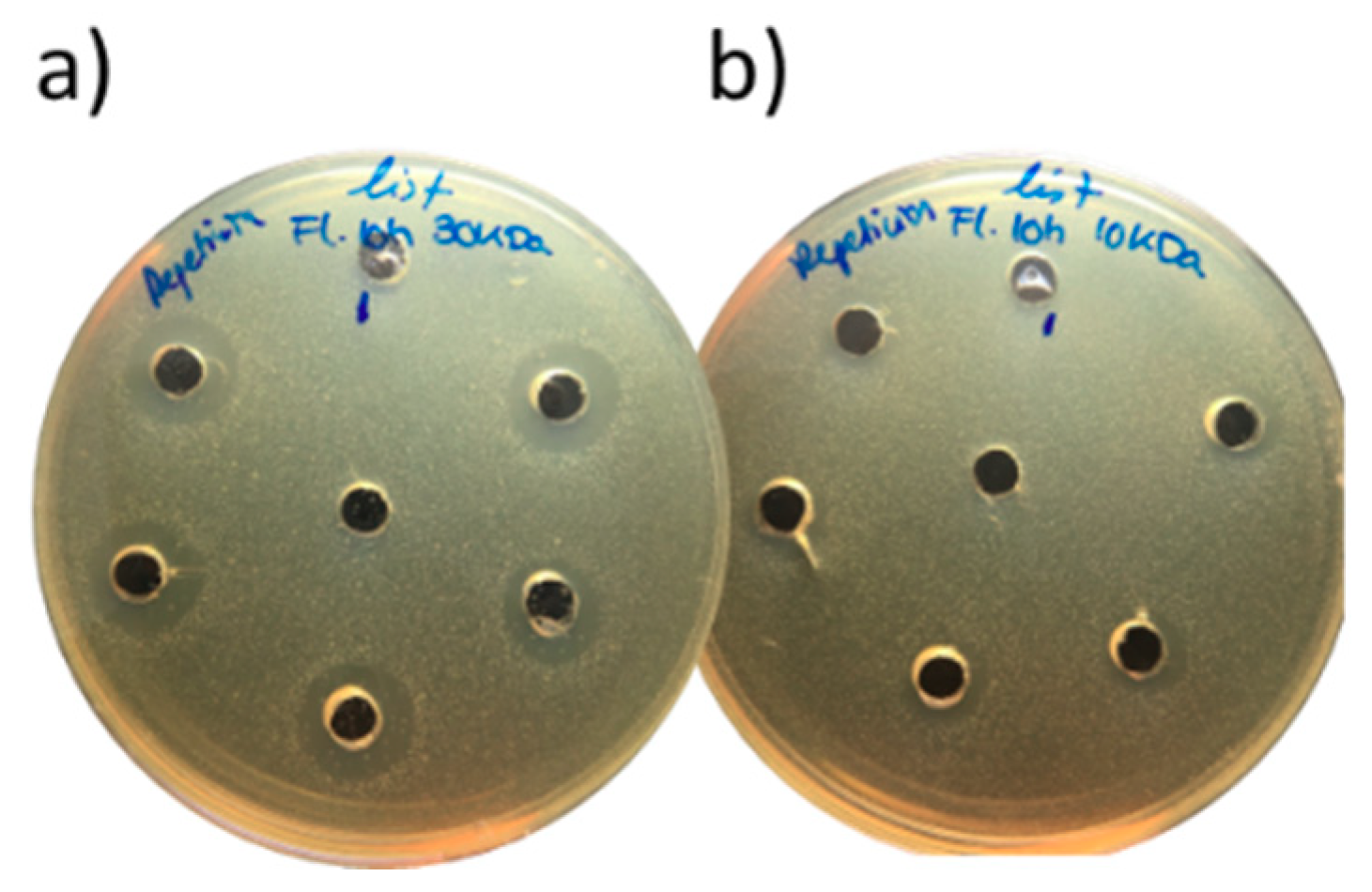 Applsci 10 03950 g004