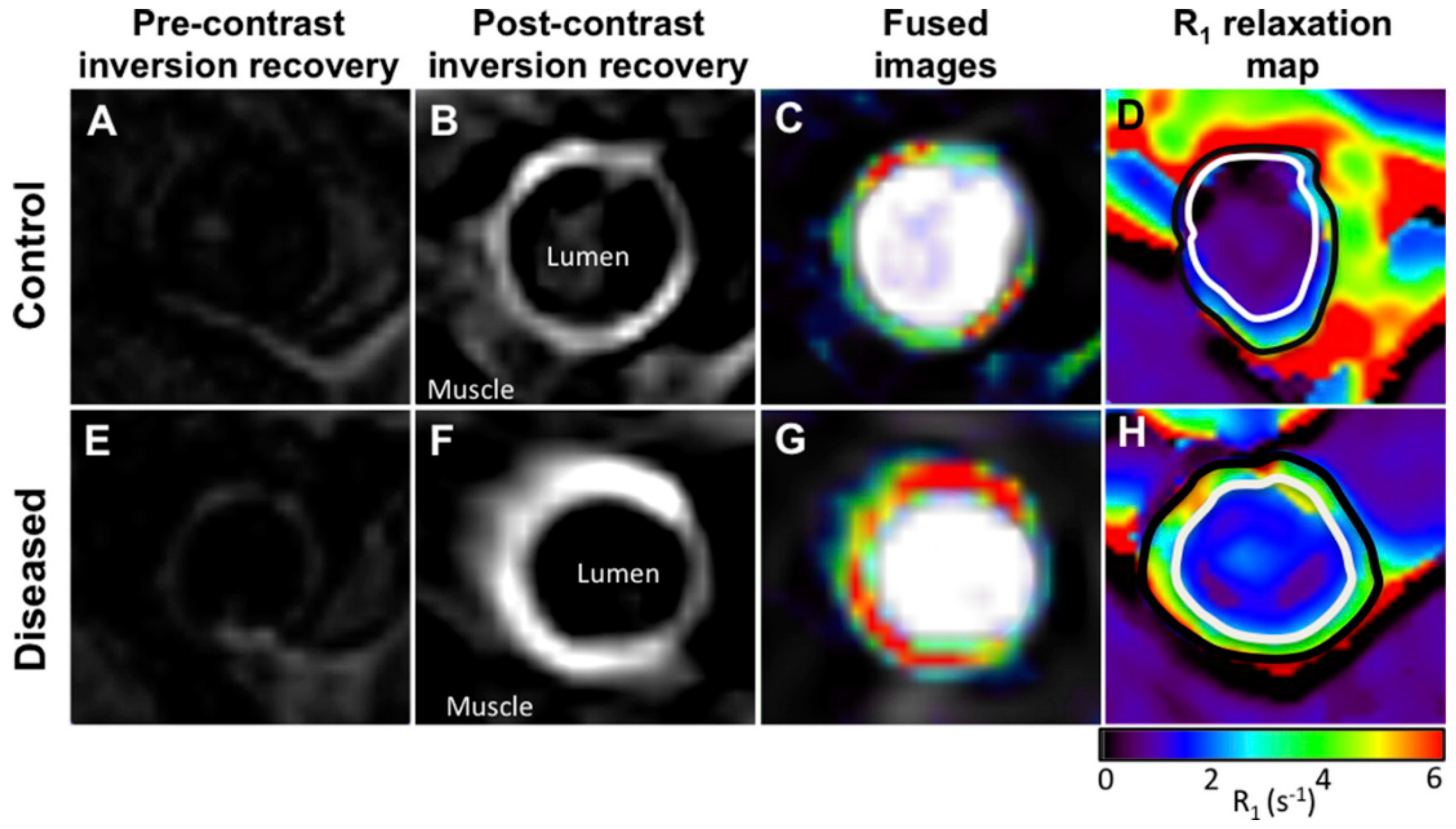 Applsci 10 04001 g007 Applsci 10 04001 g007