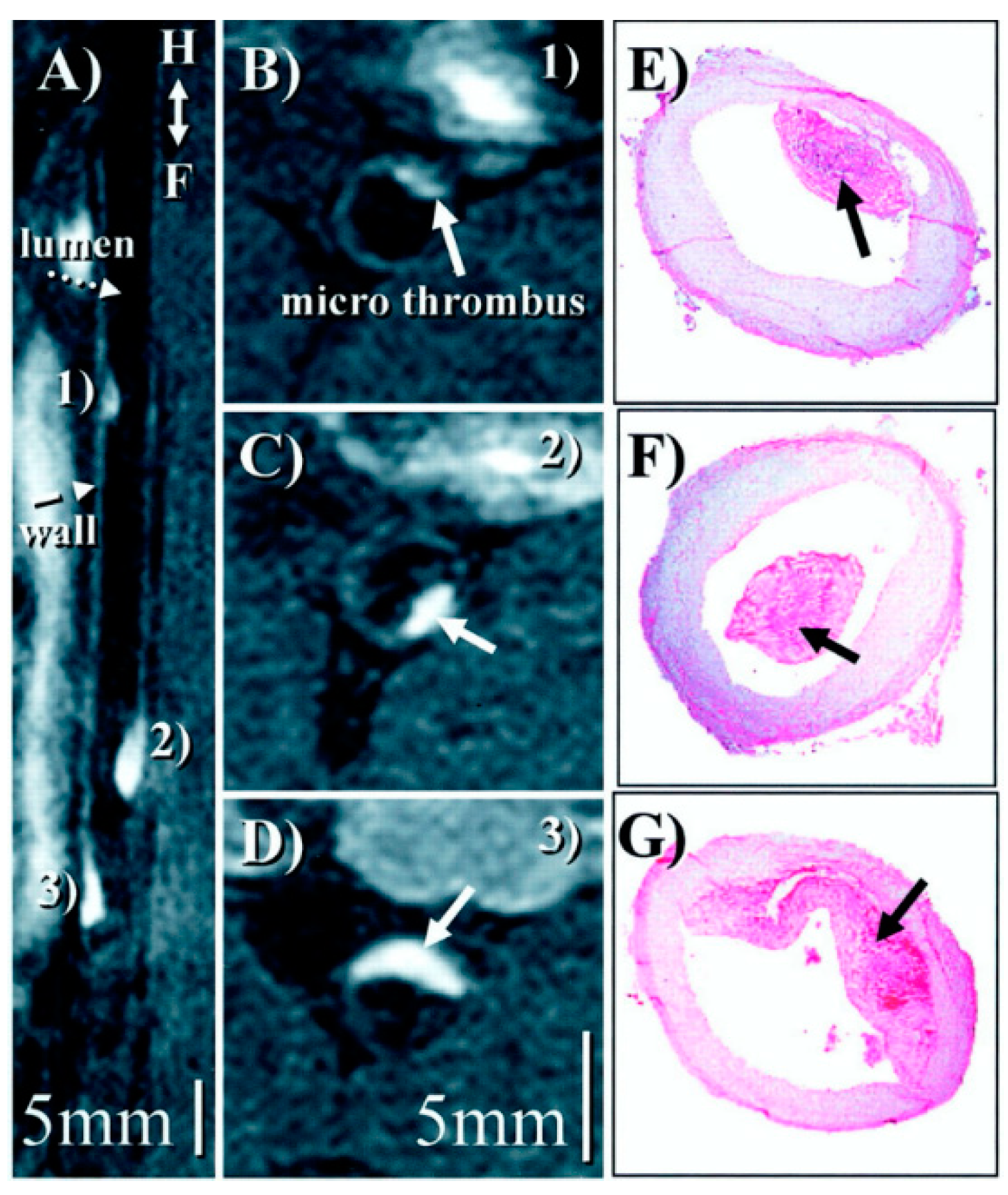 Applsci 10 04001 g010 Applsci 10 04001 g010