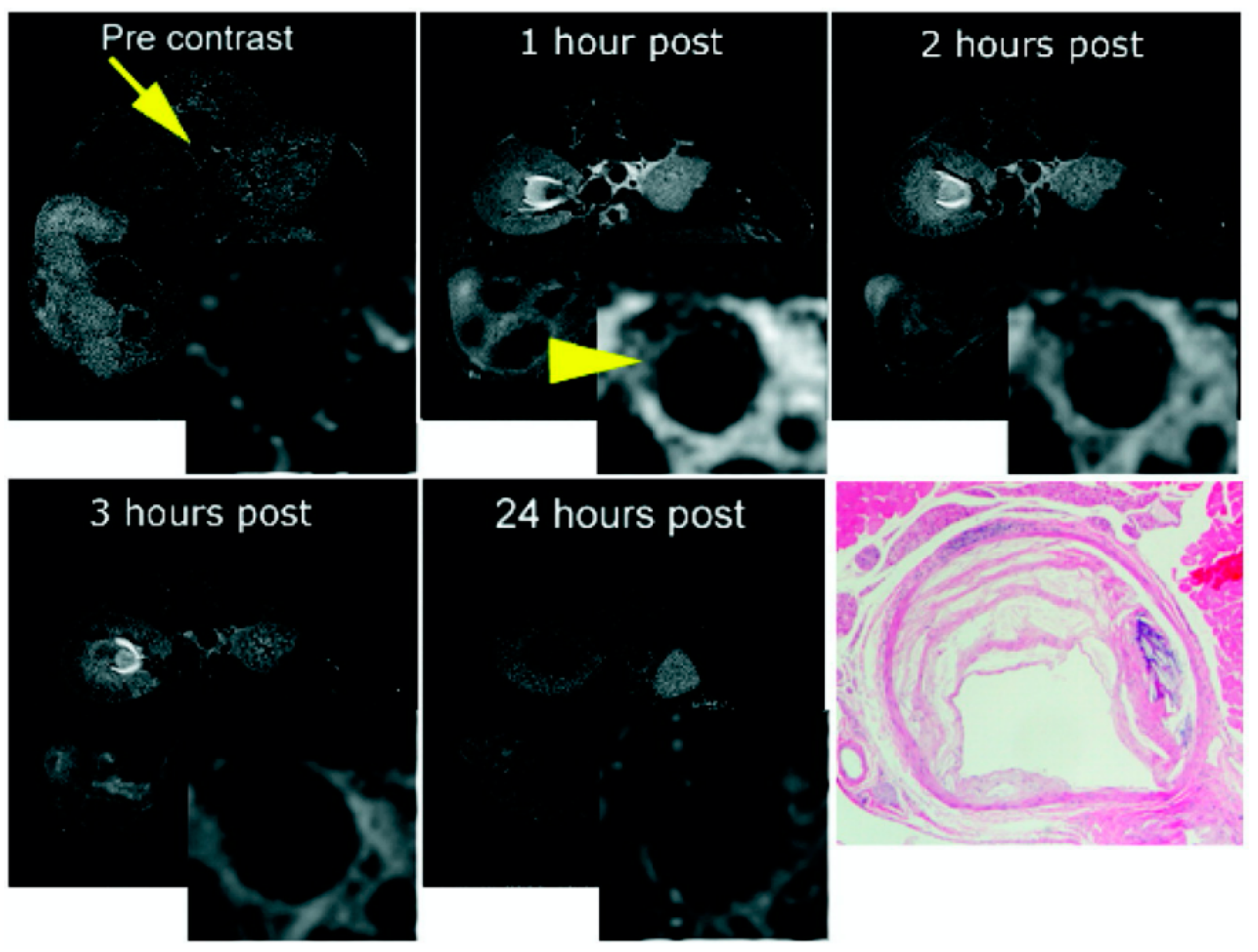 Applsci 10 04001 g013 Applsci 10 04001 g013