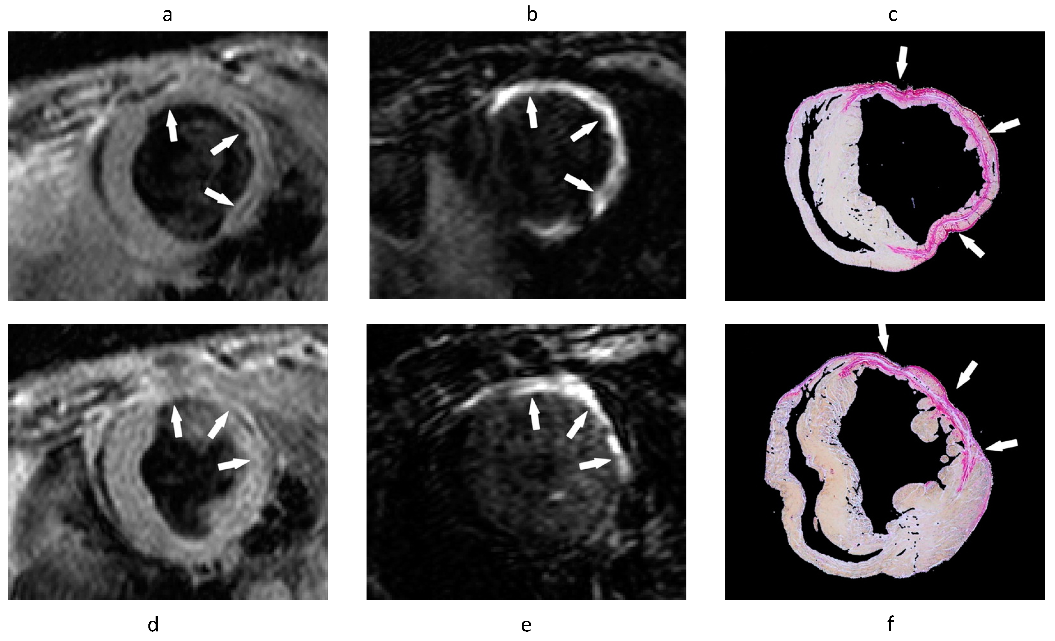 Applsci 10 04001 g015 Applsci 10 04001 g015