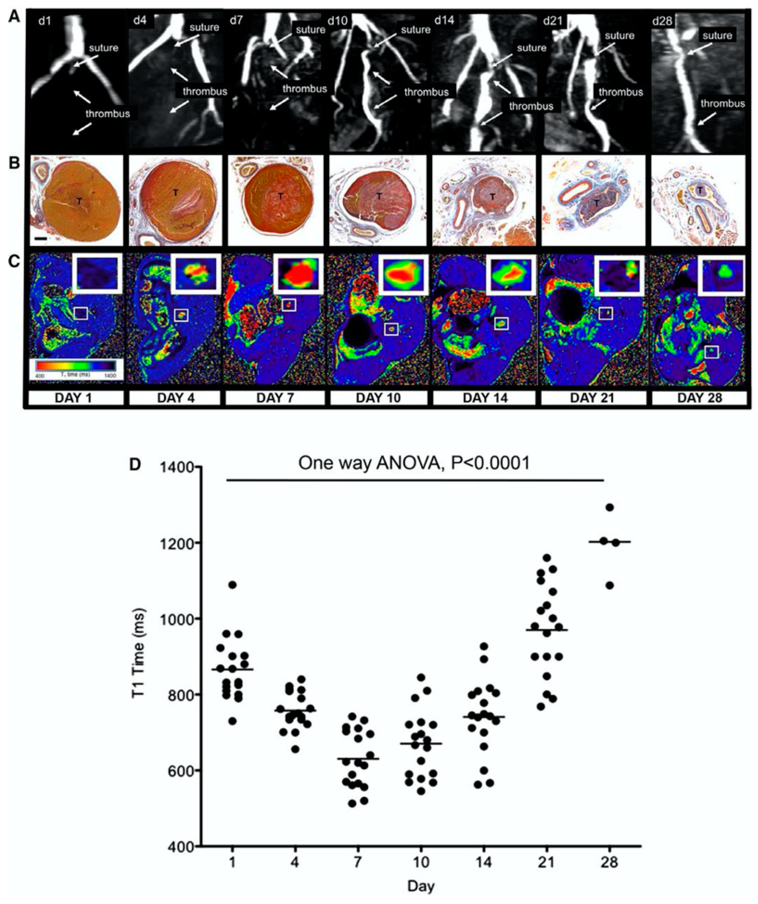 Applsci 10 04001 g018 Applsci 10 04001 g018