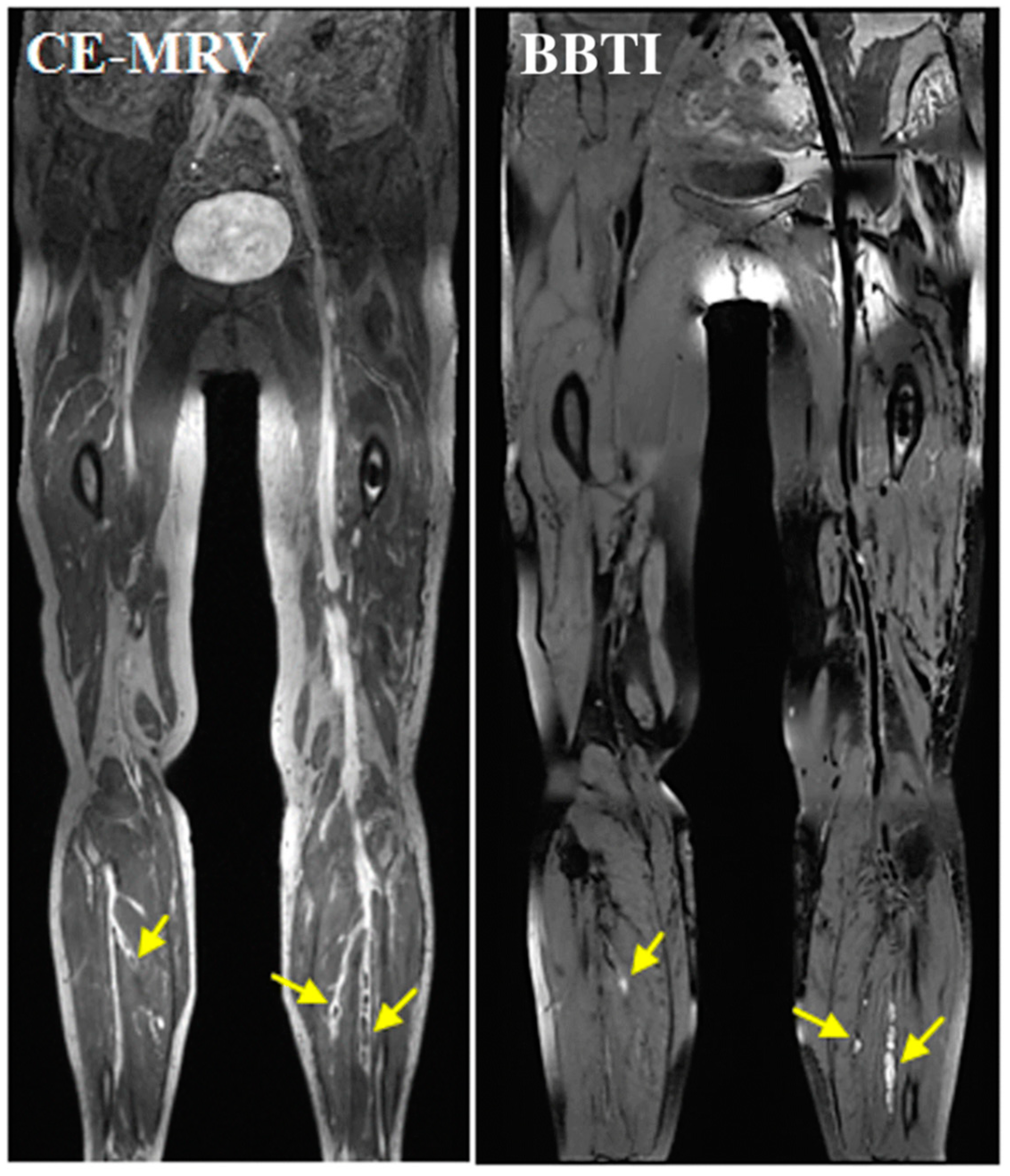 Applsci 10 04001 g021 Applsci 10 04001 g021
