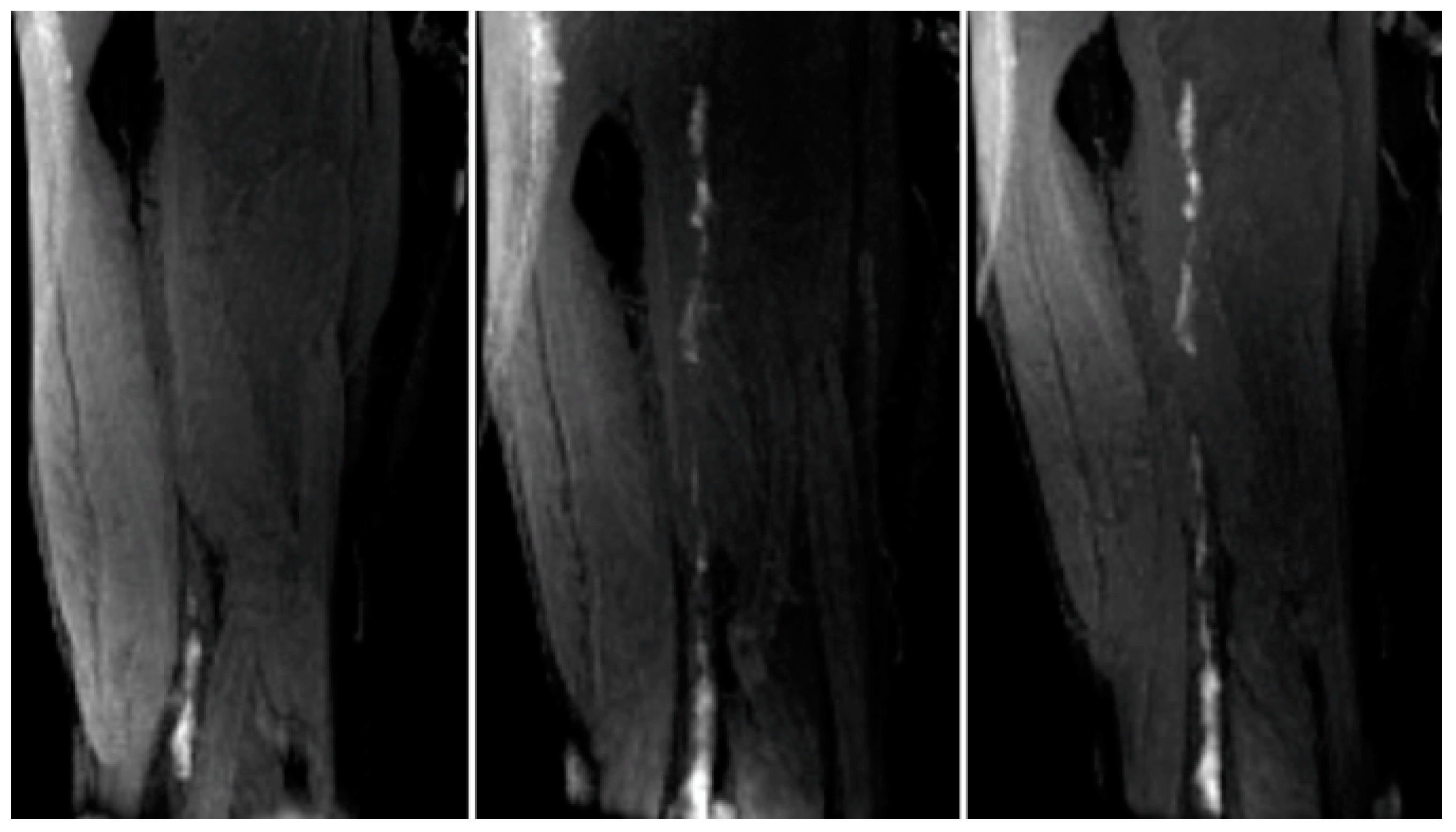 Applsci 10 04001 g023 Applsci 10 04001 g023