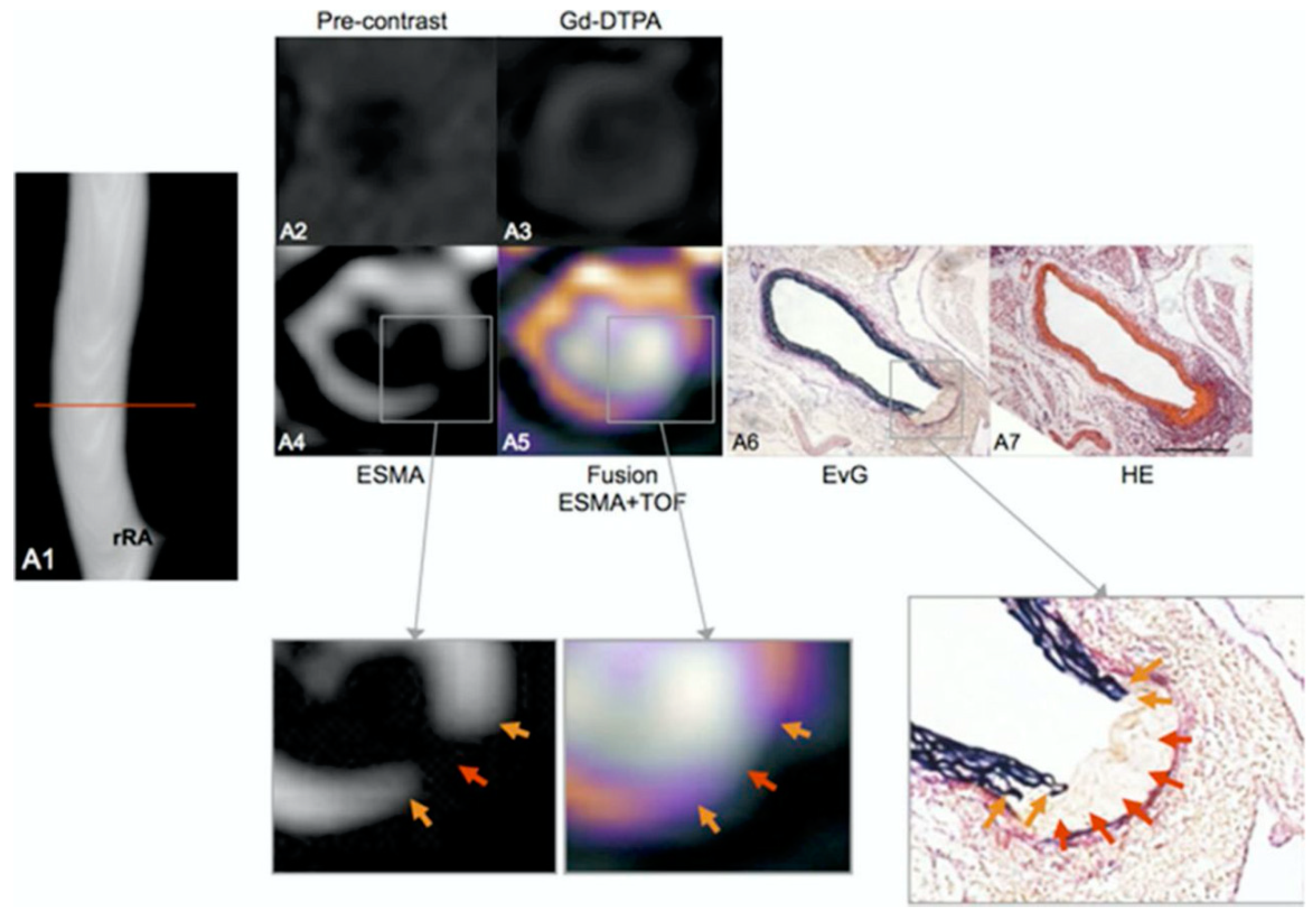 Applsci 10 04001 g024 Applsci 10 04001 g024