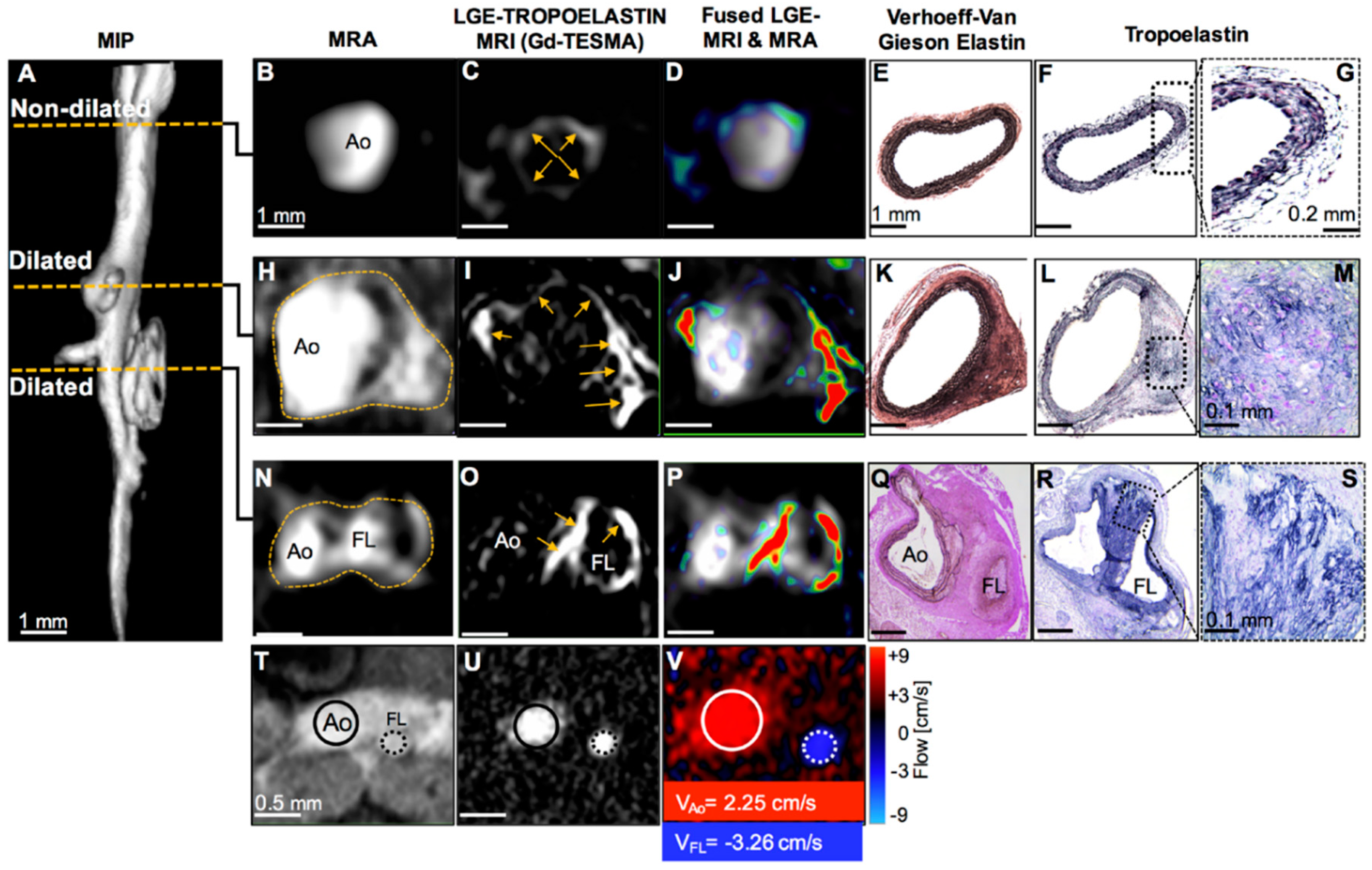 Applsci 10 04001 g025 Applsci 10 04001 g025