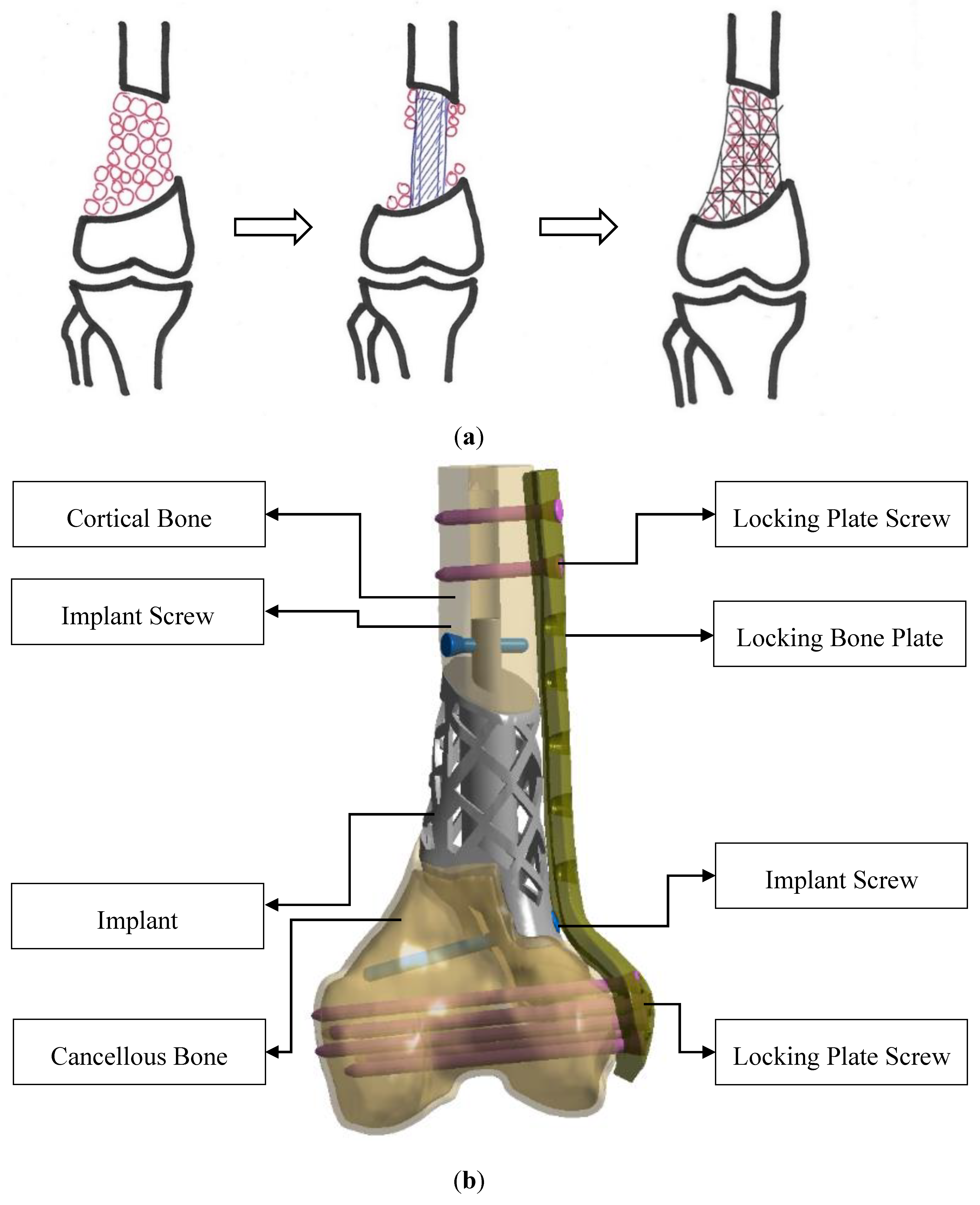 Applsci 10 04098 g002