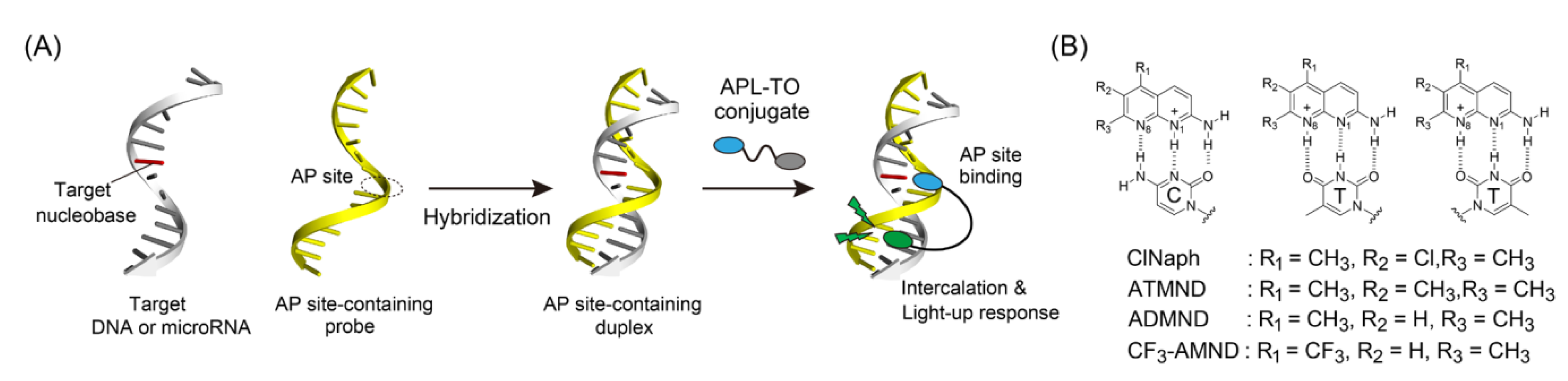 Applsci 10 04133 g001