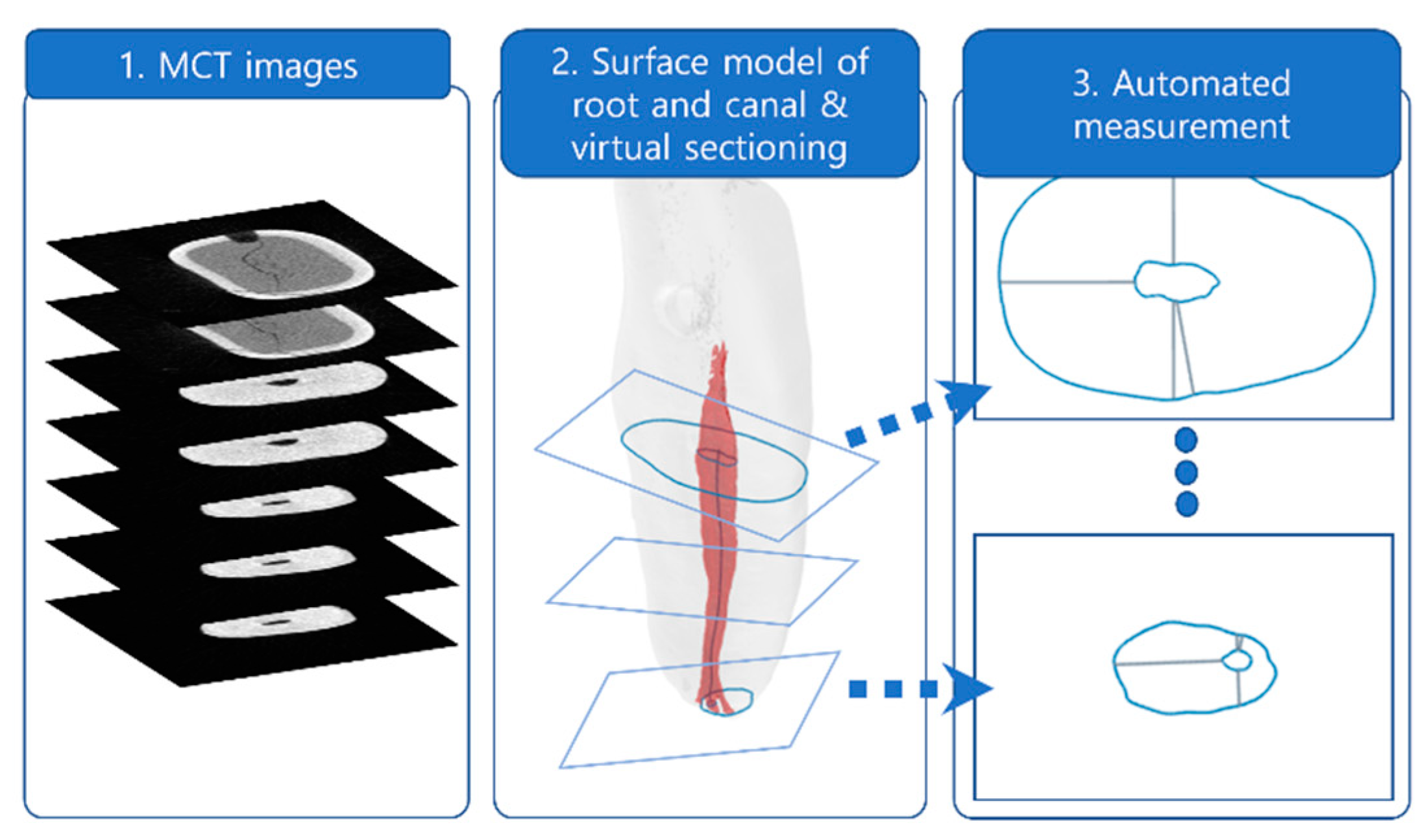 Applsci 10 04385 g002 Applsci 10 04385 g002