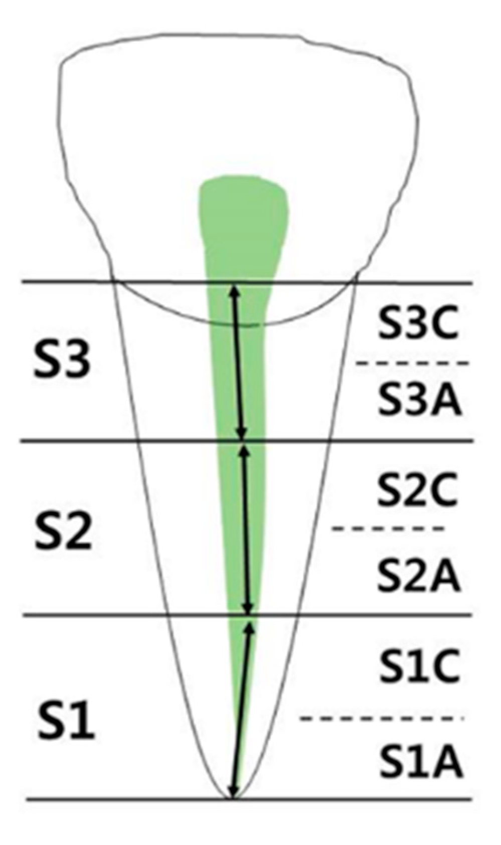 Applsci 10 04385 g004 Applsci 10 04385 g004