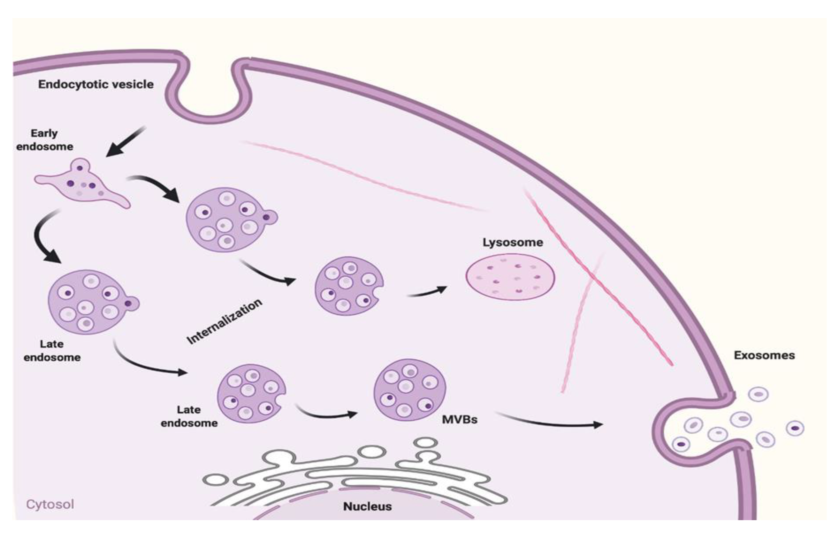 Applsci 10 04428 g001 Applsci 10 04428 g001