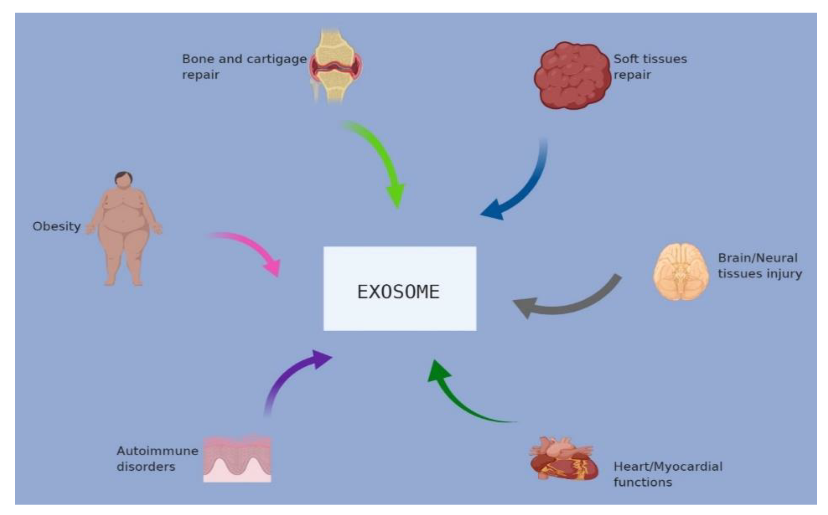 Applsci 10 04428 g002 Applsci 10 04428 g002