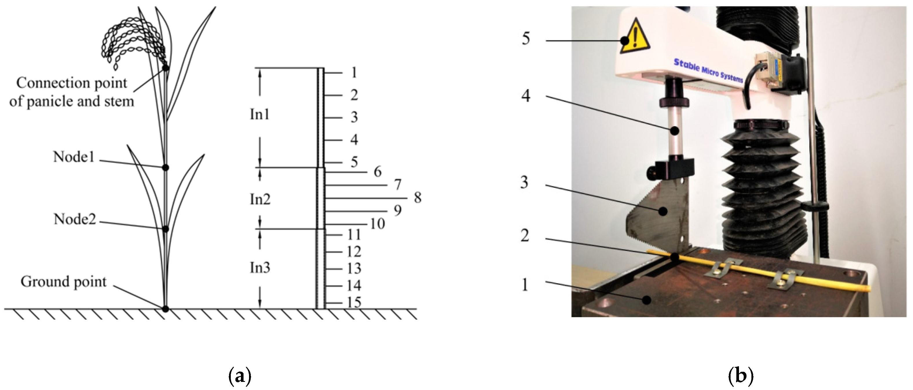 Applsci 10 04432 g005