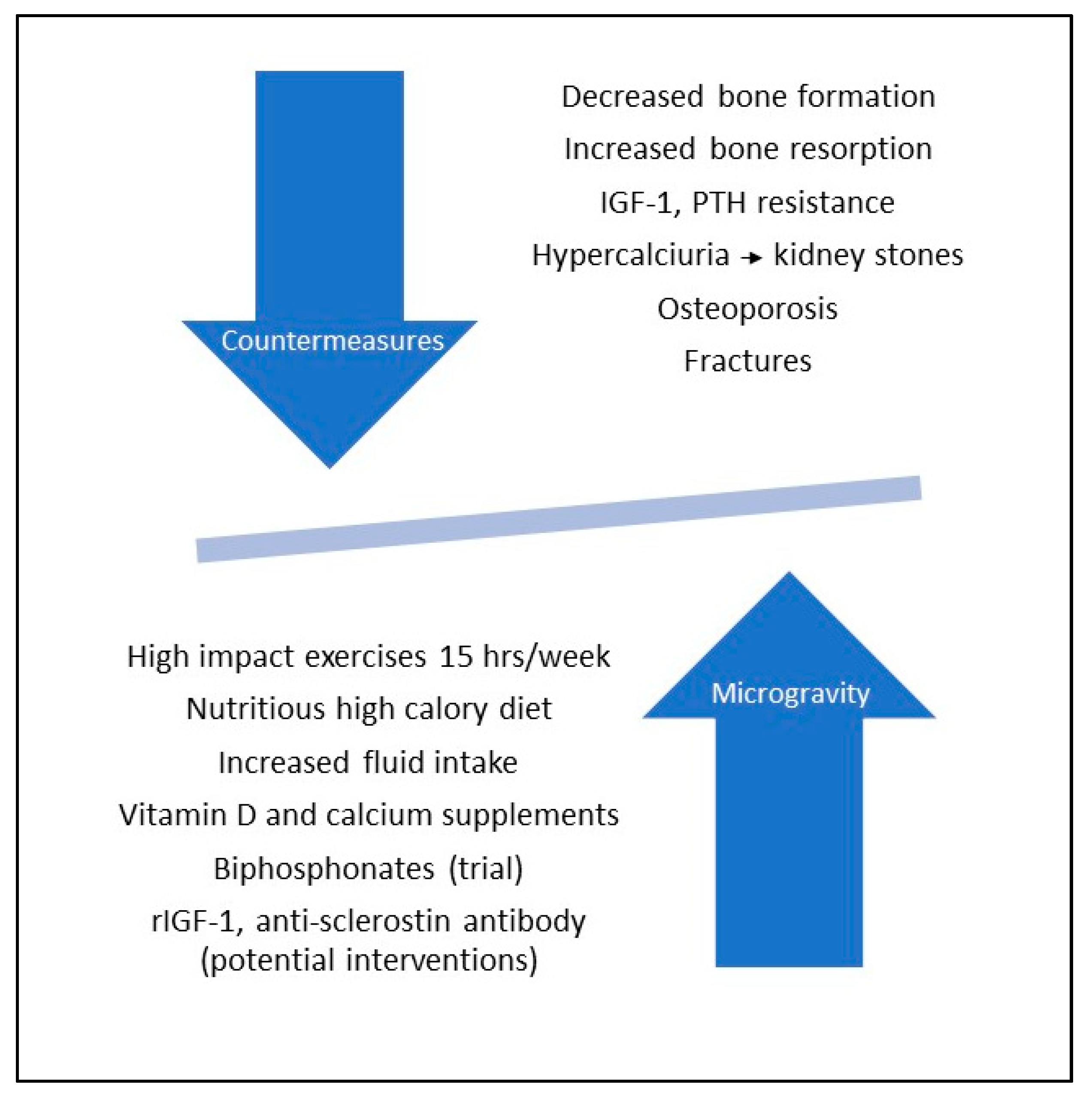 Applsci 10 04433 g005