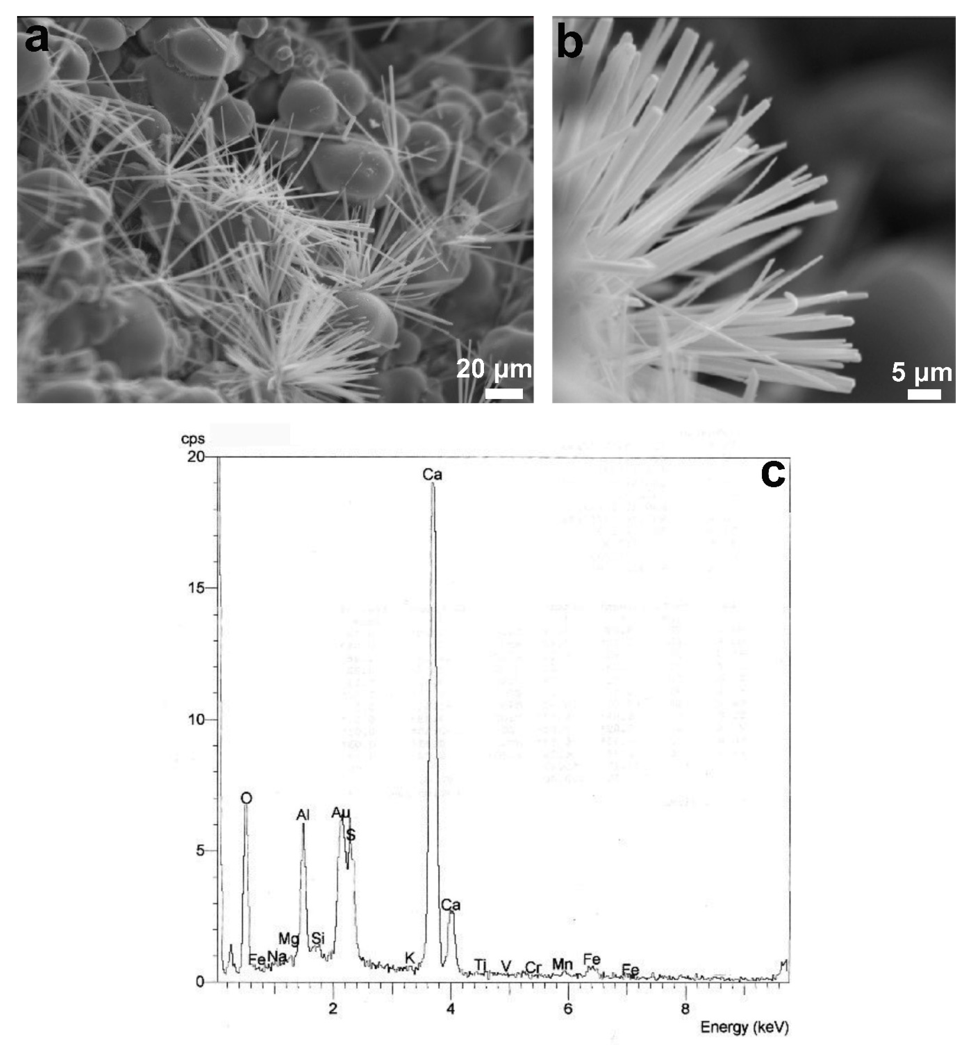 Applsci 10 04670 g005