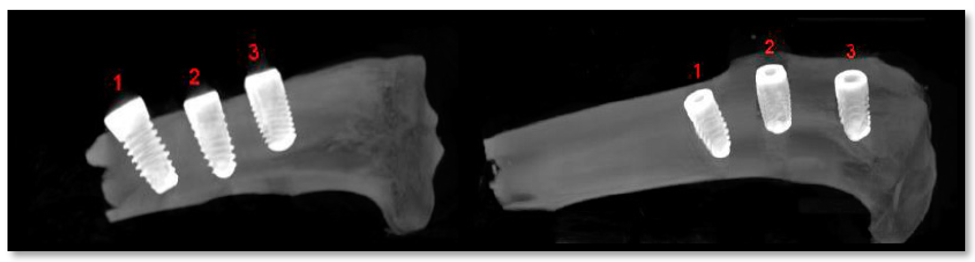 Applsci 10 04790 g017