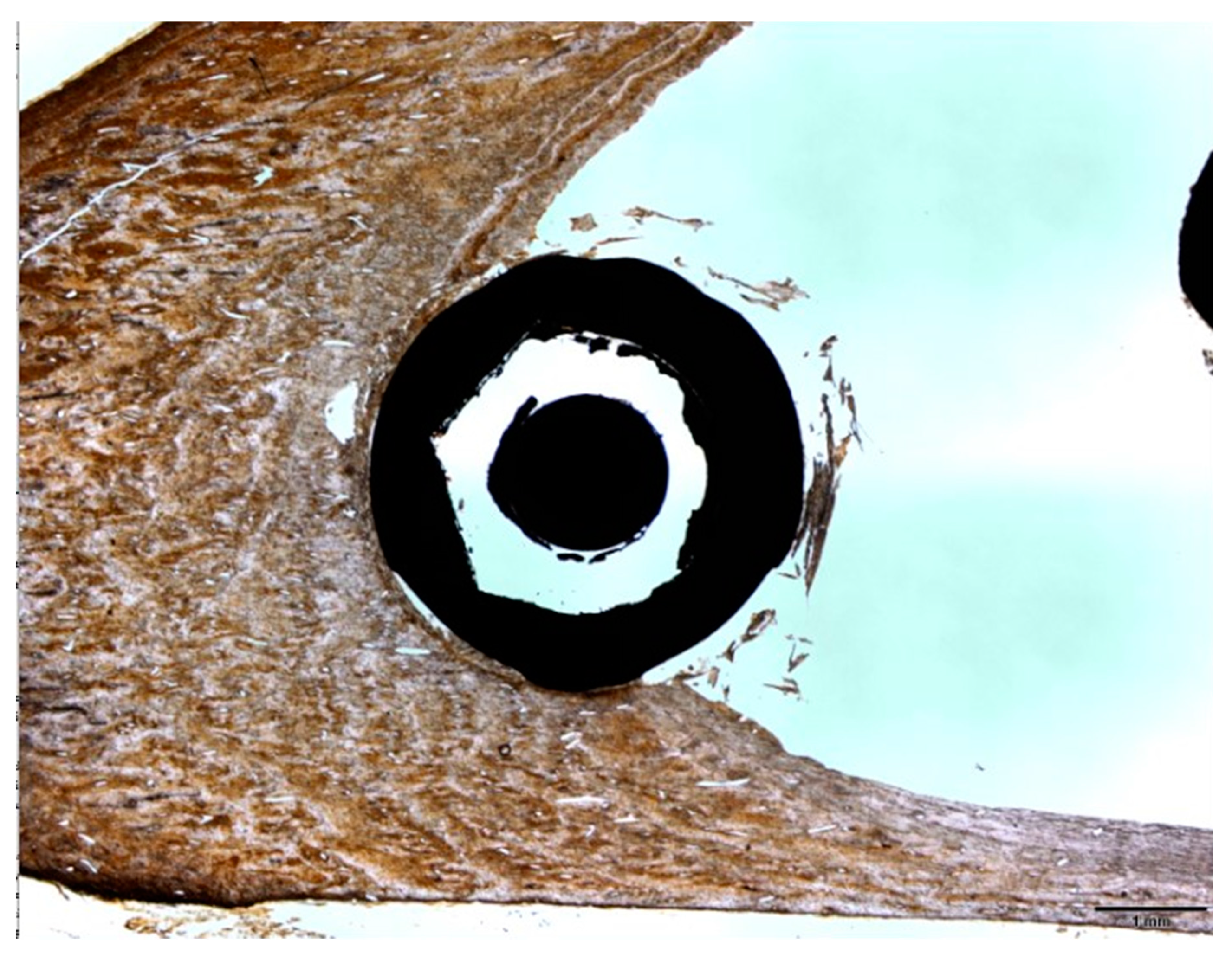 Applsci 10 04790 g019