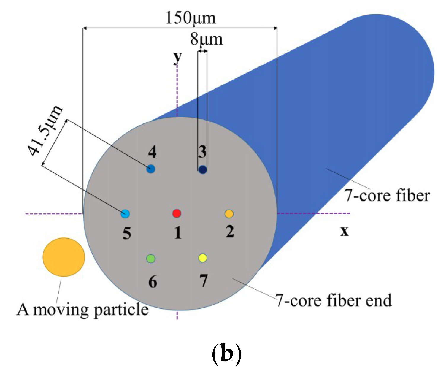 Applsci 10 04829 g002b