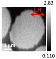 Applsci 10 04836 i004