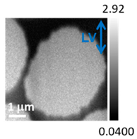 Applsci 10 04836 i005