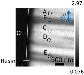 Applsci 10 04836 i016