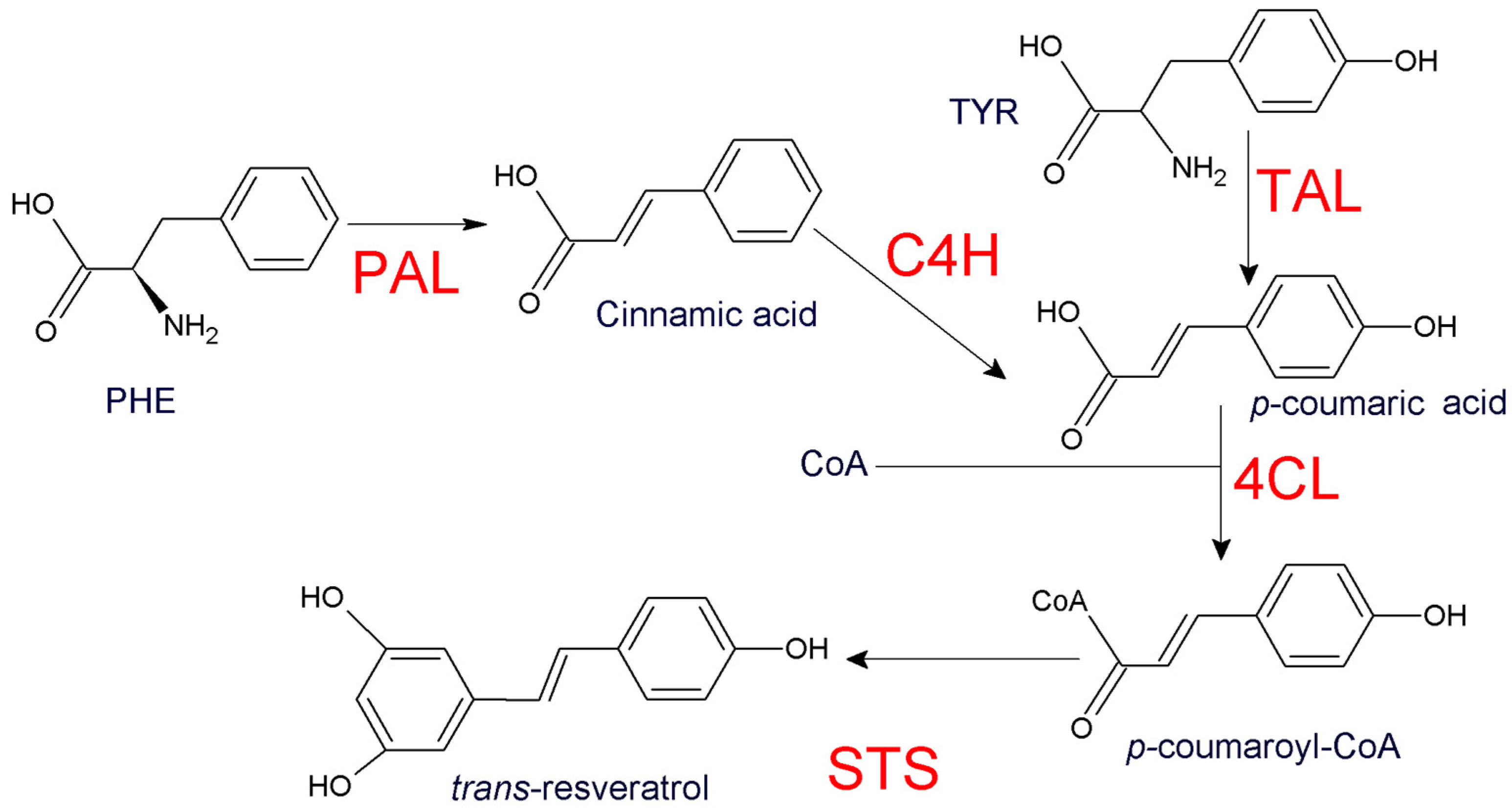 Applsci 10 04847 g001