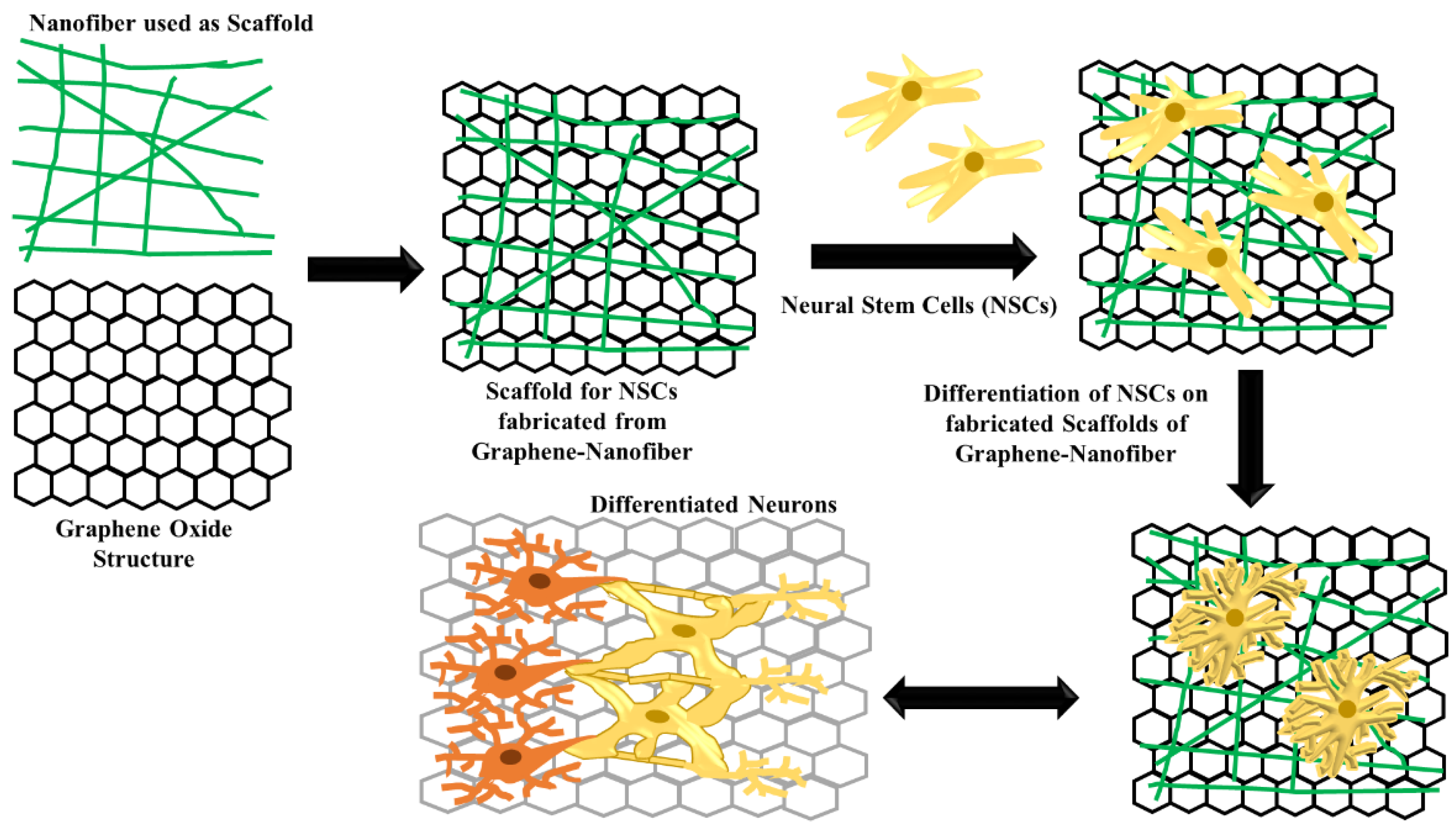 Applsci 10 04852 g003