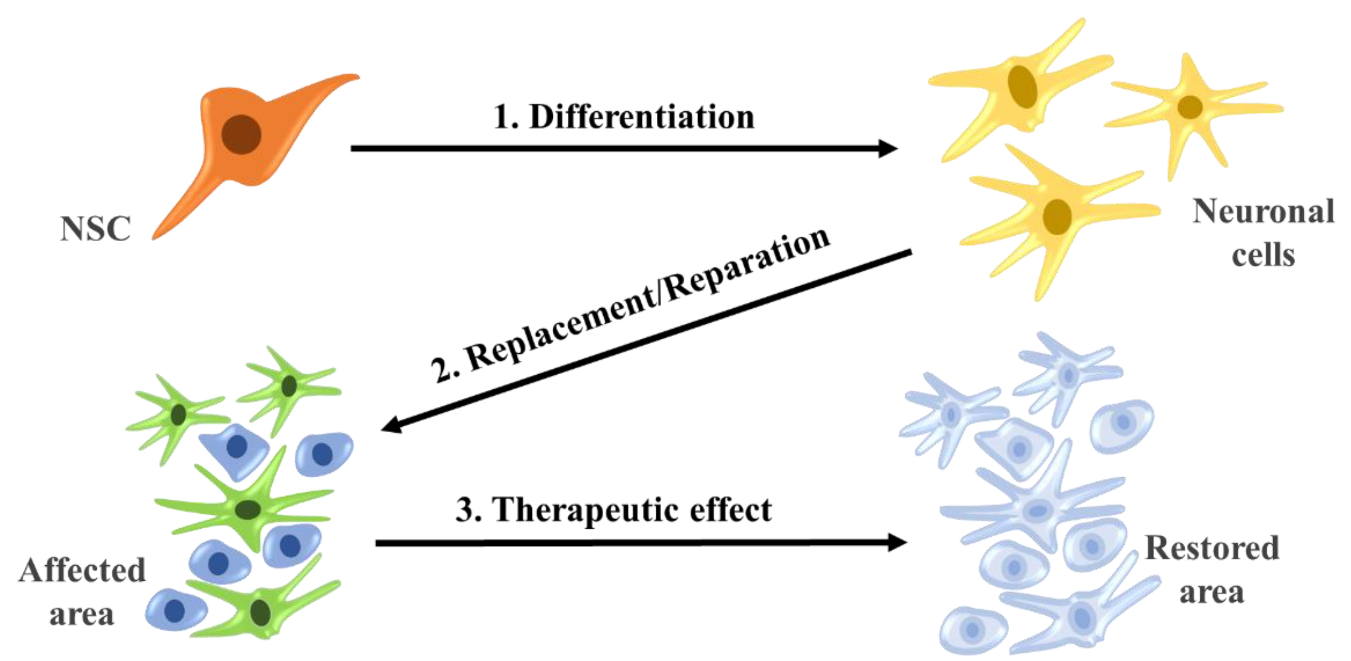 Applsci 10 04852 g004