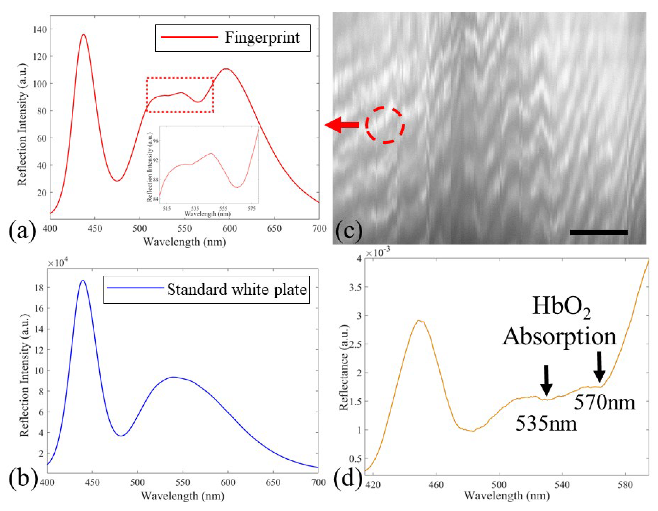 Applsci 10 04876 g004