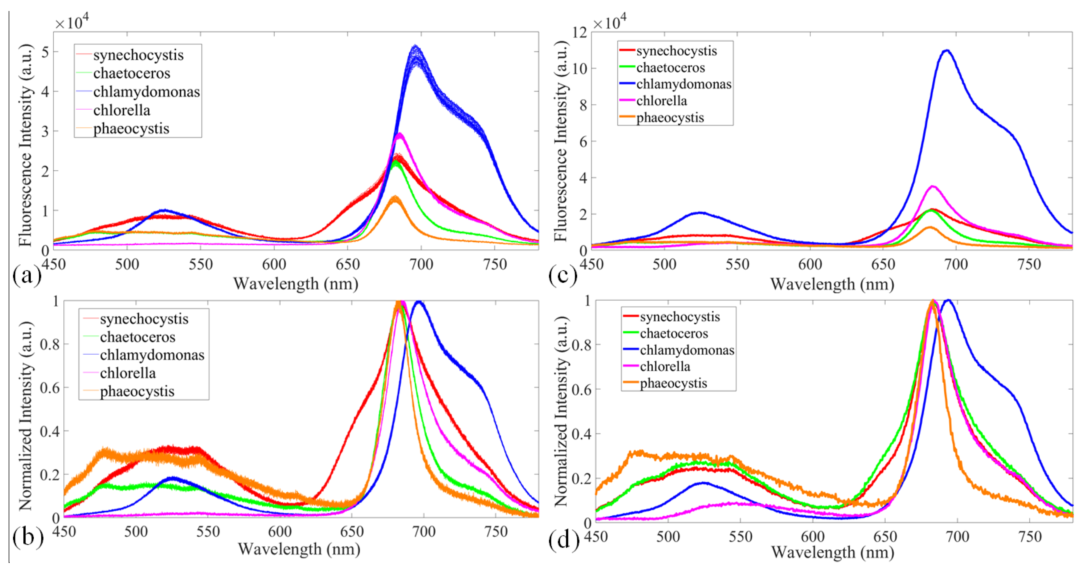 Applsci 10 04876 g005
