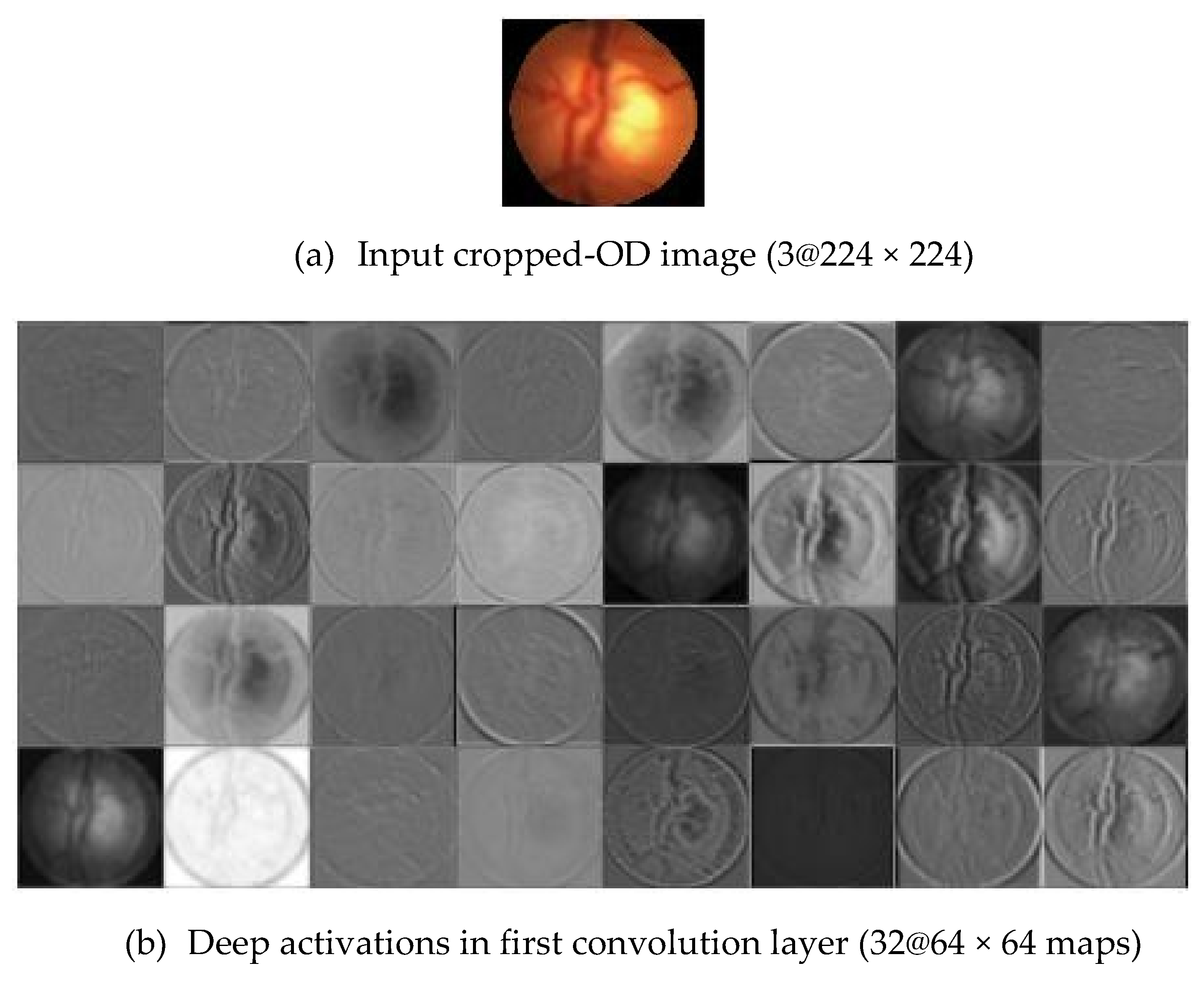 Applsci 10 04916 g007a Applsci 10 04916 g007a