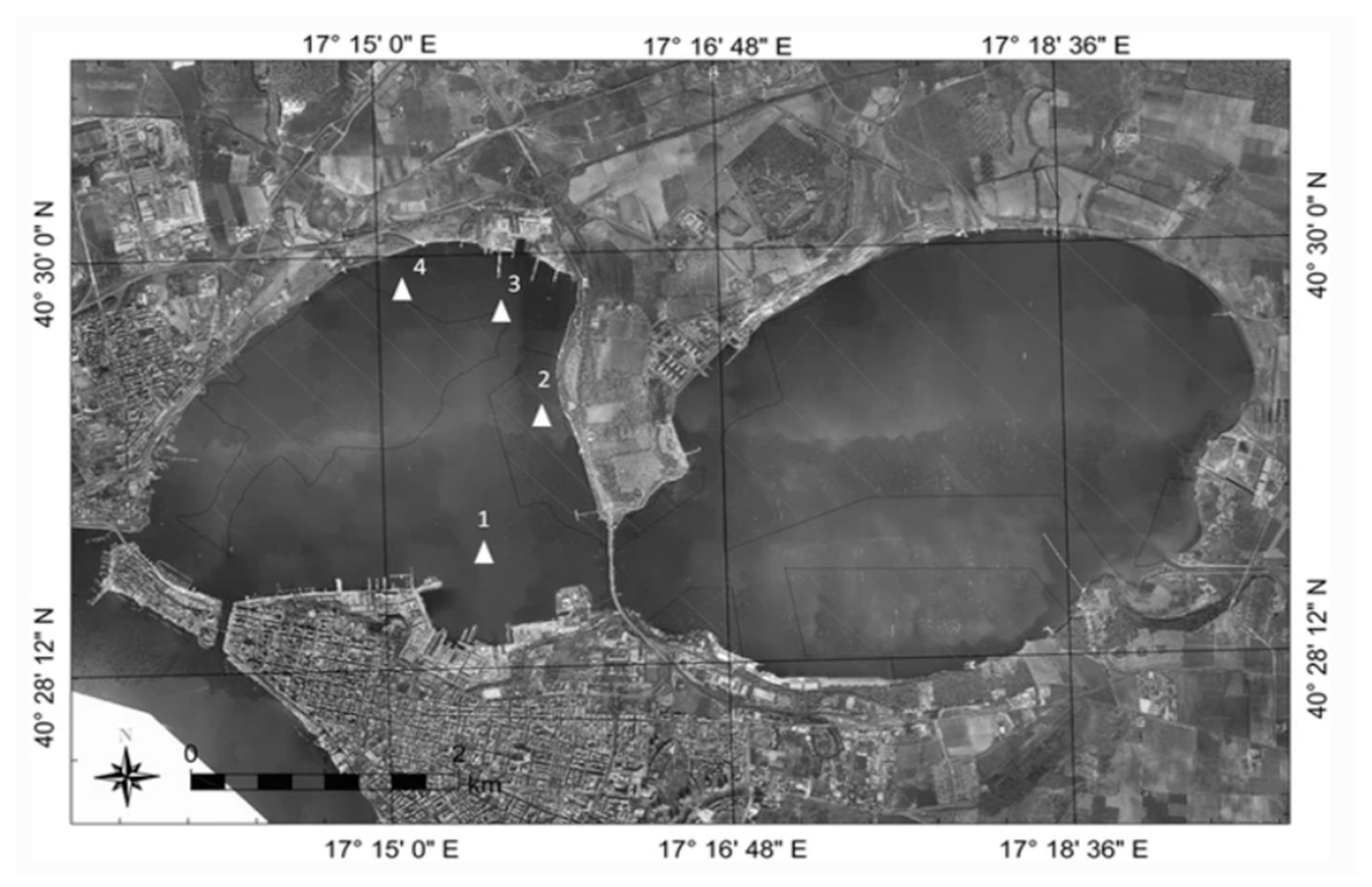 Applsci 10 05080 g015