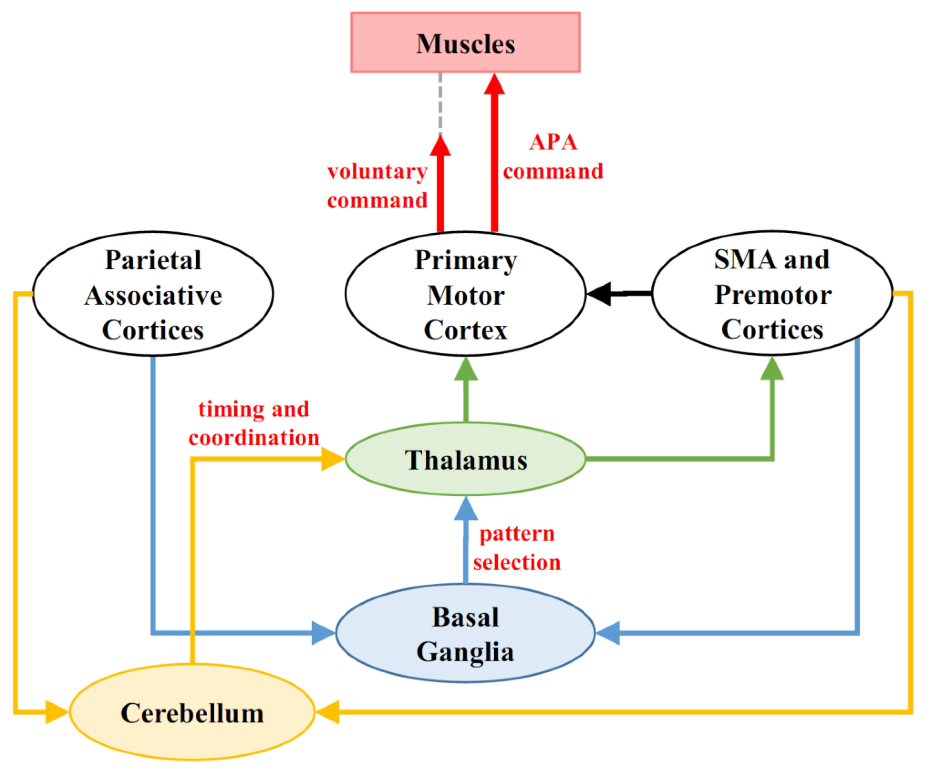 Applsci 10 05088 g001 Applsci 10 05088 g001