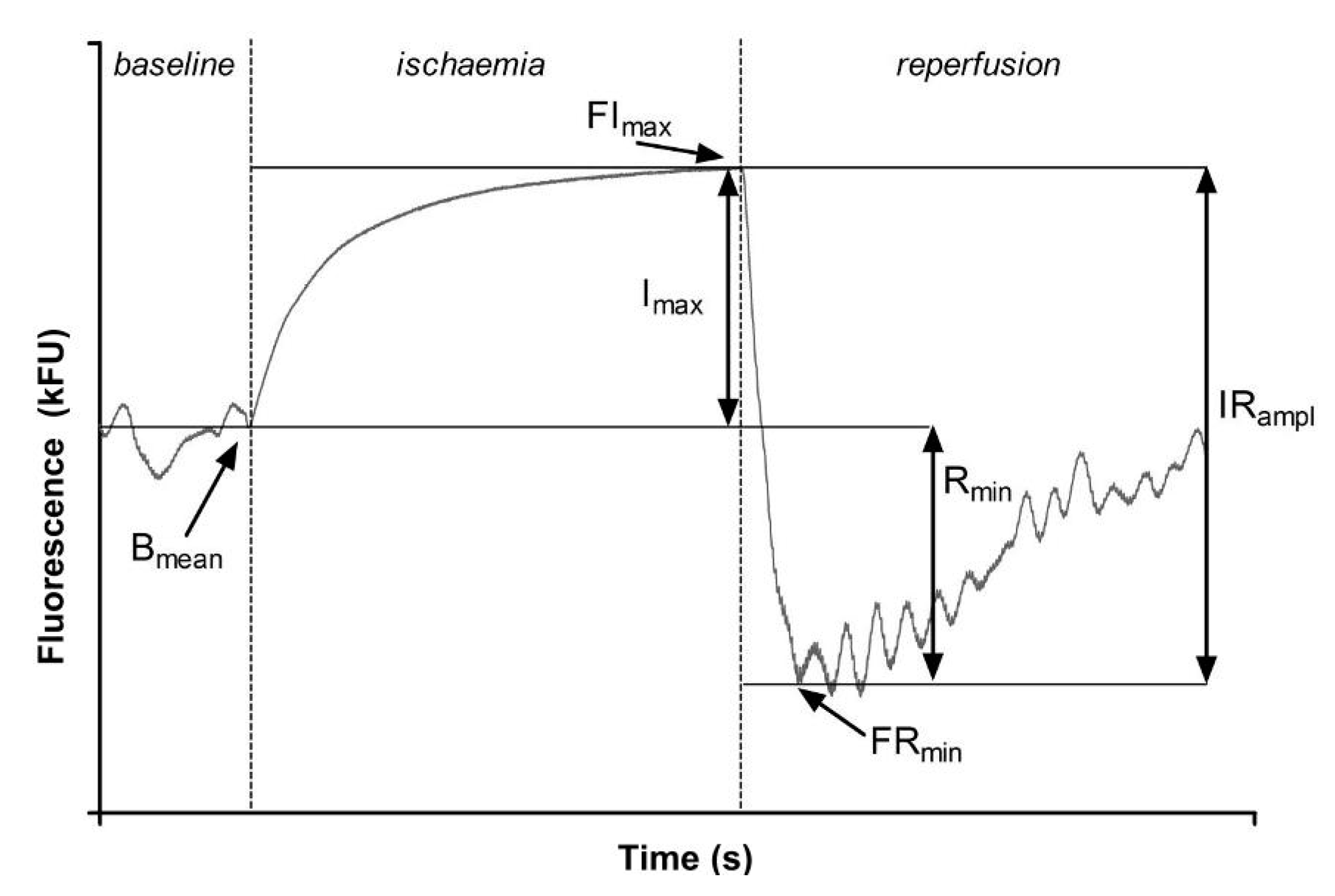 Applsci 10 05133 g001