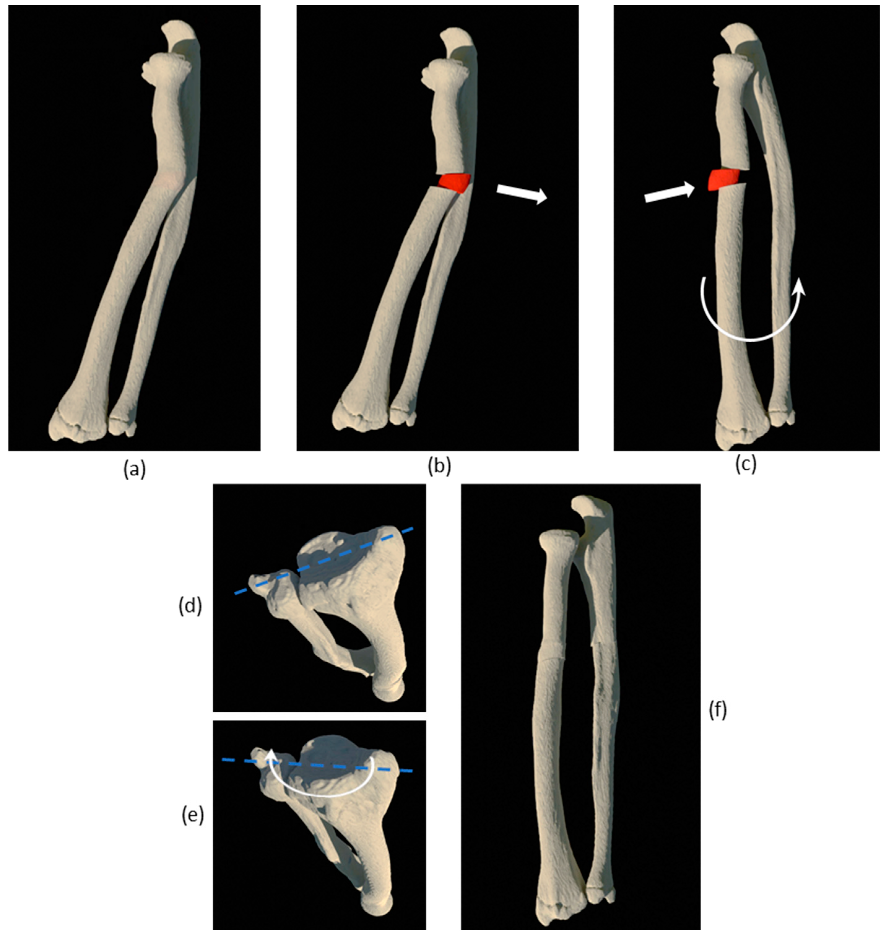 Applsci 10 05181 g003