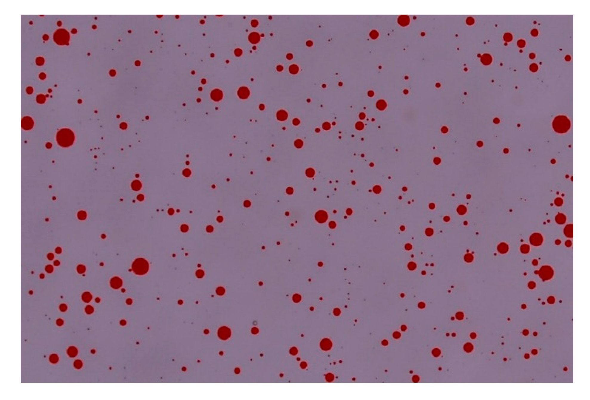 Applsci 10 05221 g006 Applsci 10 05221 g006