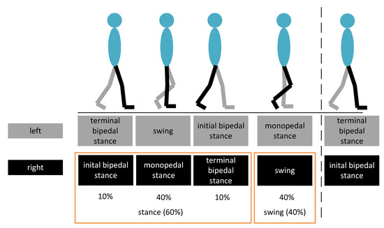 Stance vs Swing