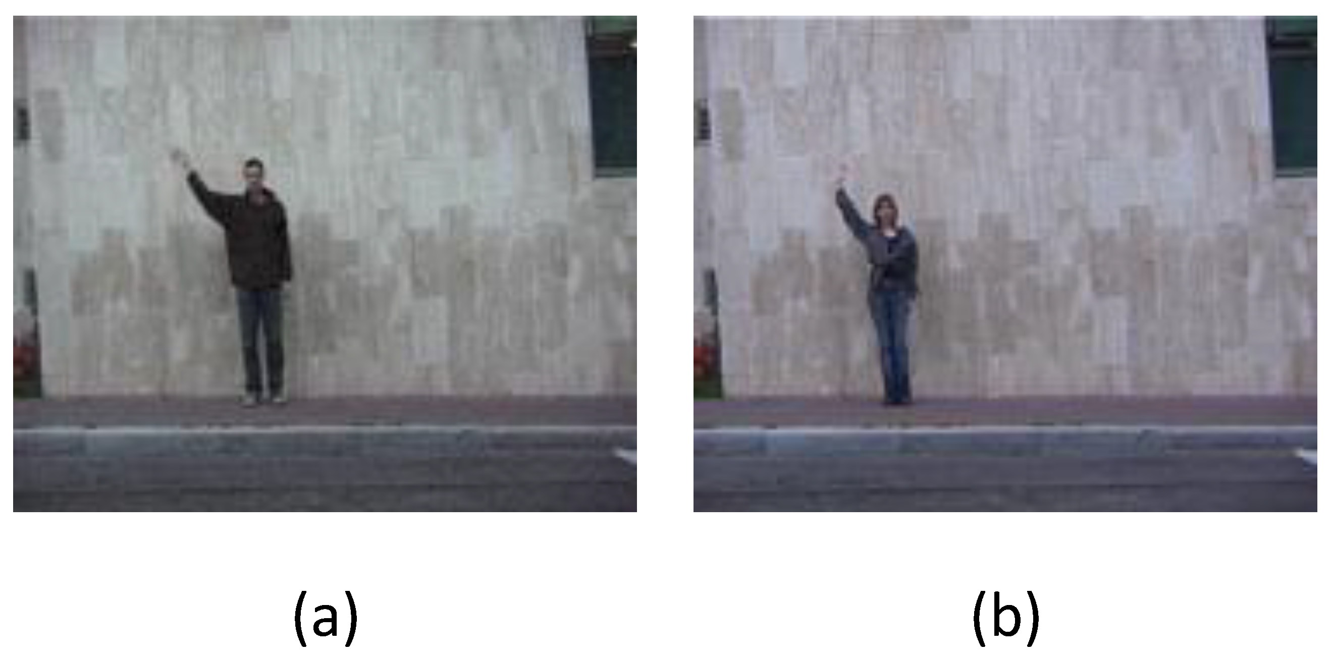 Applsci 10 05453 g007 Applsci 10 05453 g007