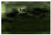Applsci 10 05516 i002 Applsci 10 05516 i002